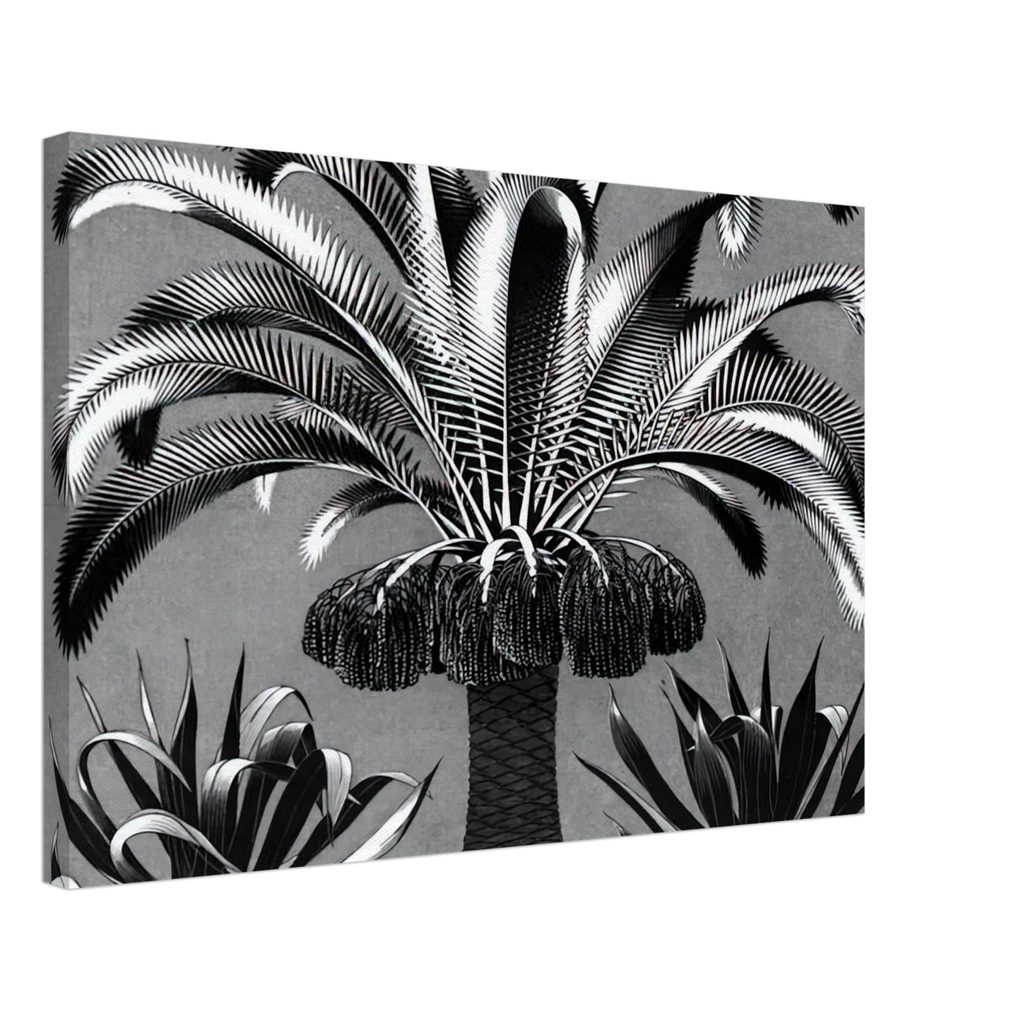 MC Escher - PALM Canvas - 70x100 cm / 28x40 inches-canvas