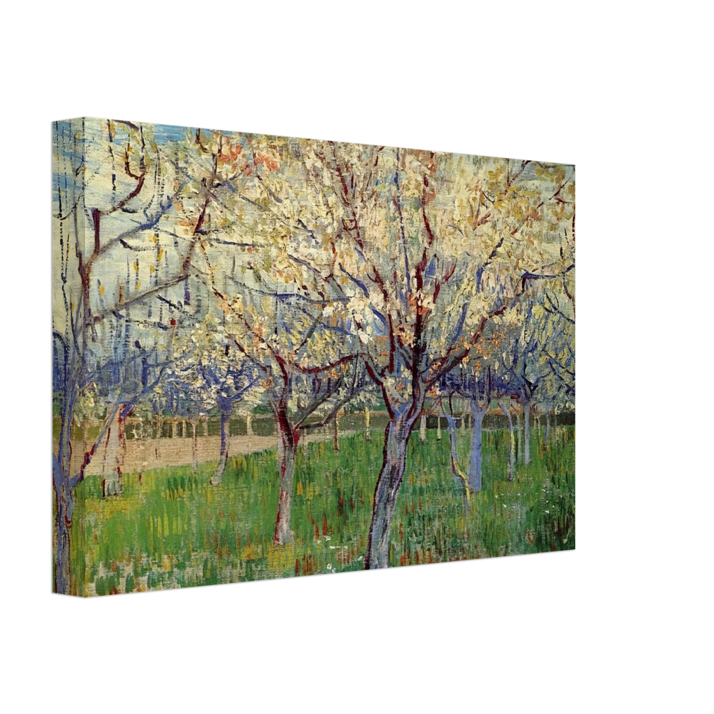 Vincent van Gogh - Orchard with Blossoming Apricot Trees Canvas - 40x60 cm / 16x24 inches-canvas