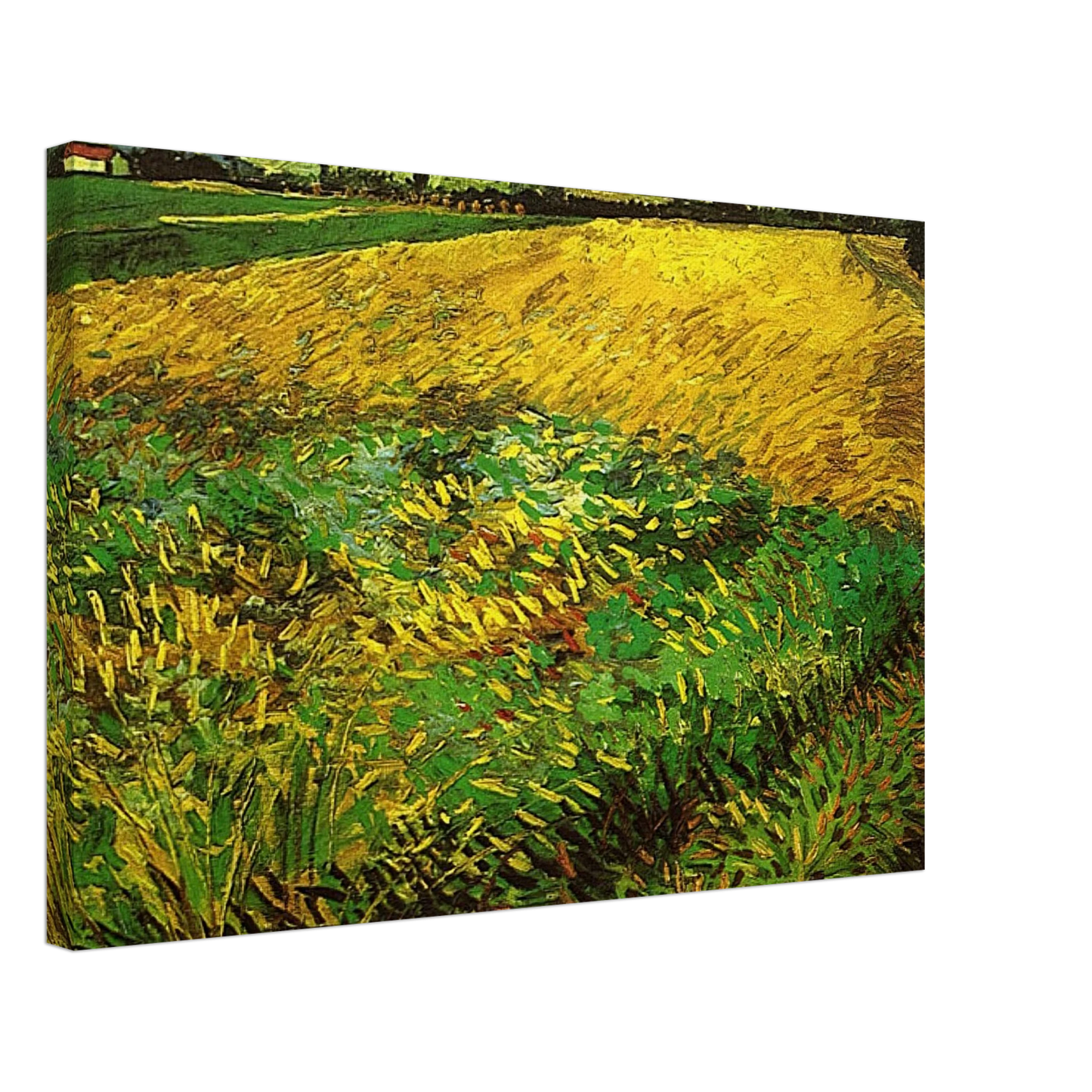 Vincent van Gogh - Wheat Field with the Alpilles Foothills in the Background Canvas - 70x100 cm / 28x40 inches-canvas