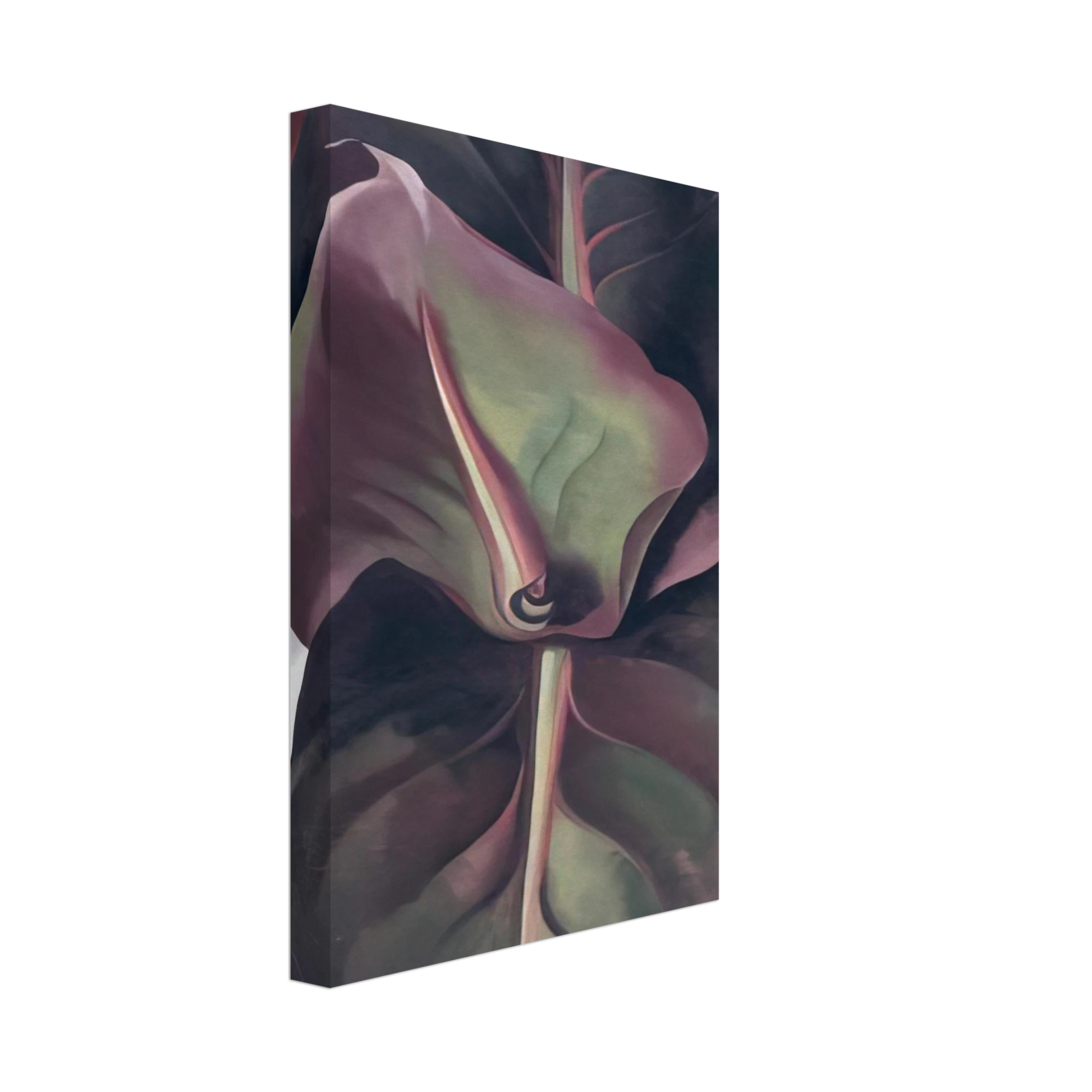 Georgia O'Keeffe - Canna Leaves Canvas - 40x60 cm / 16x24 inches-canvas