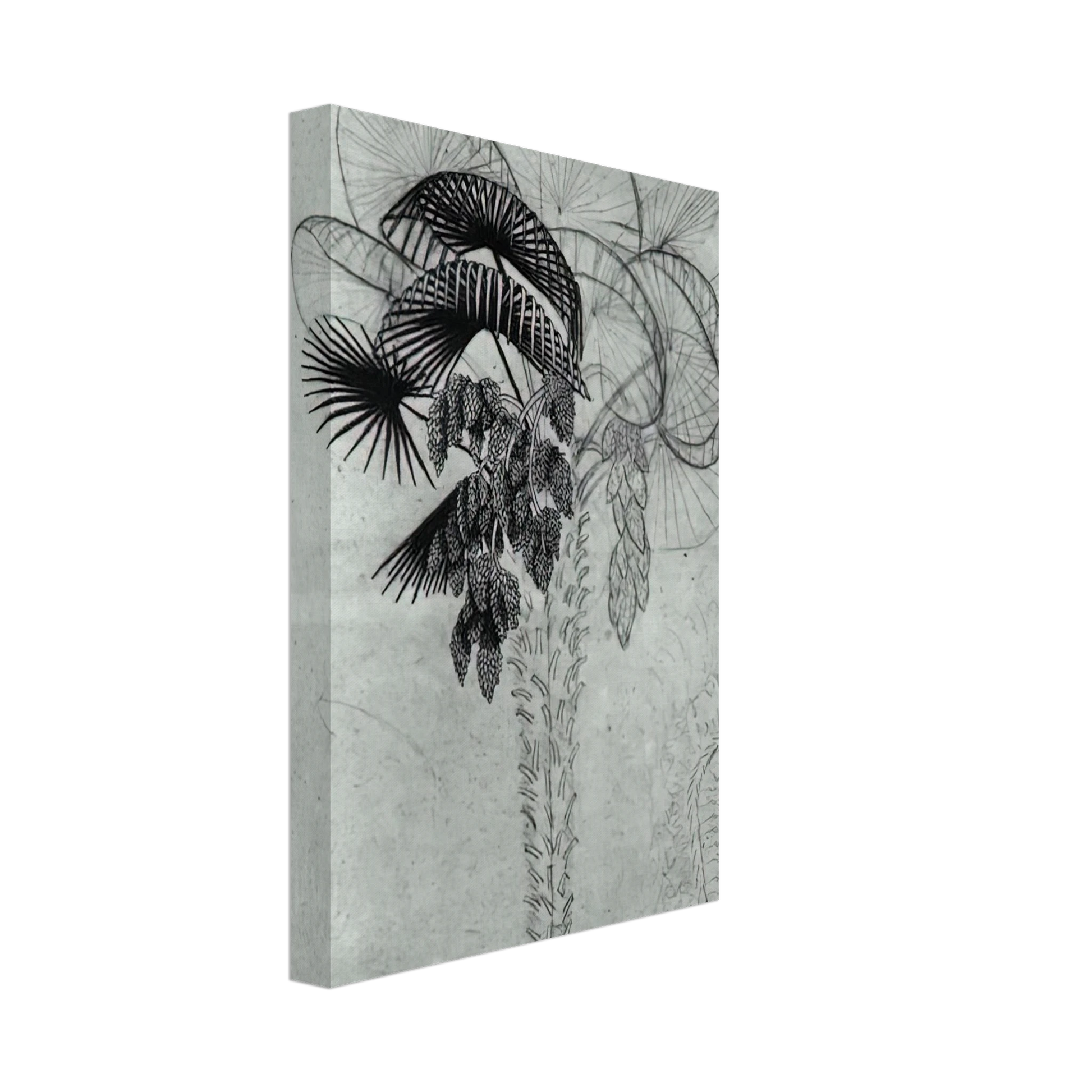MC Escher - PALM TREE SKETCH Canvas - 40x60 cm / 16x24 inches-canvas