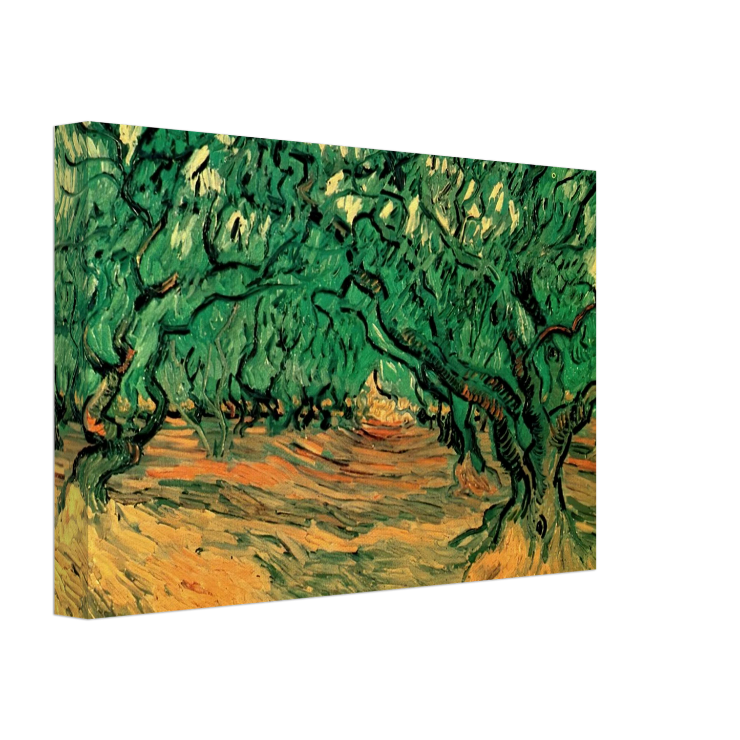 Vincent van Gogh - Olive Trees Canvas - 40x60 cm / 16x24 inches-canvas