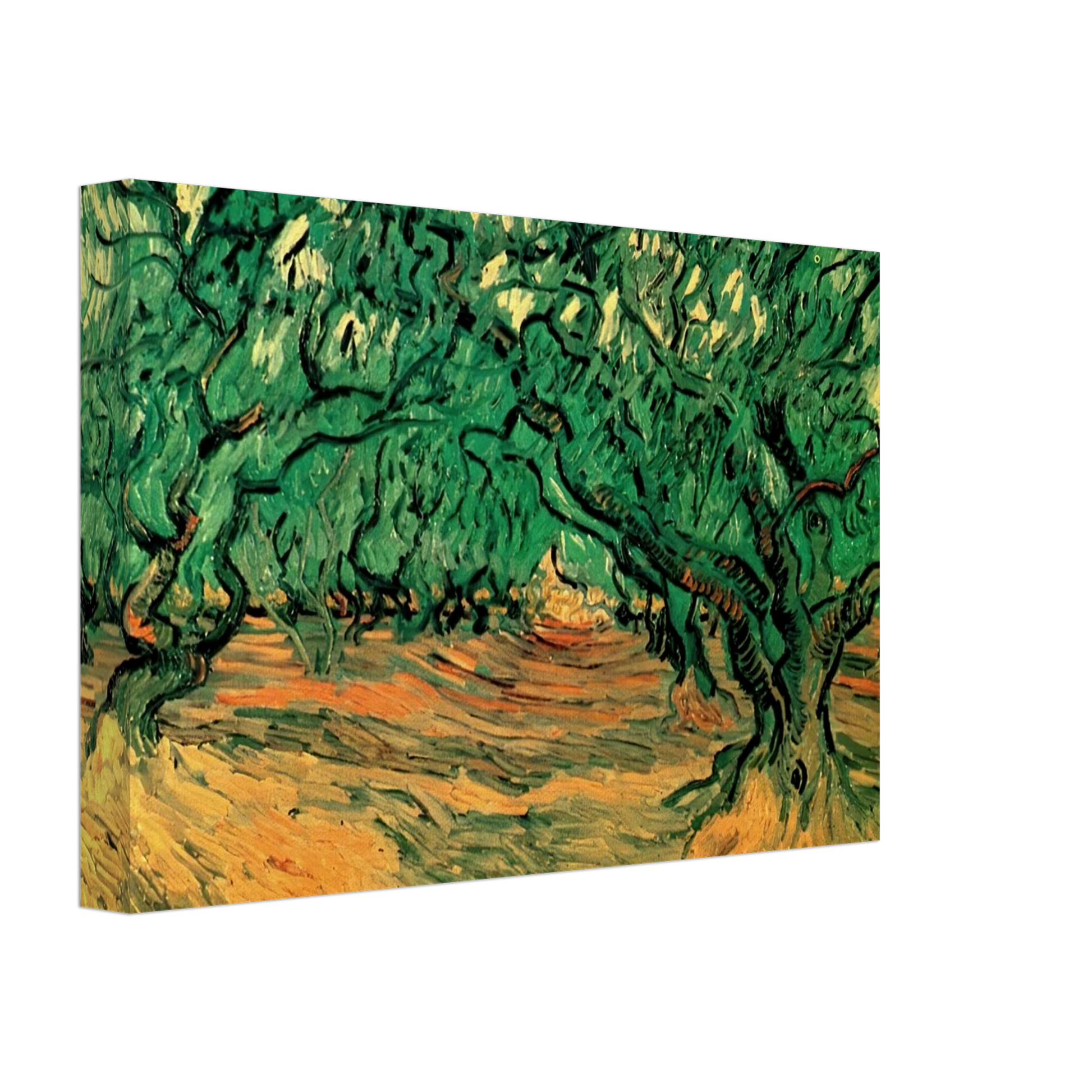 Vincent van Gogh - Olive Trees Canvas - 40x60 cm / 16x24 inches-canvas