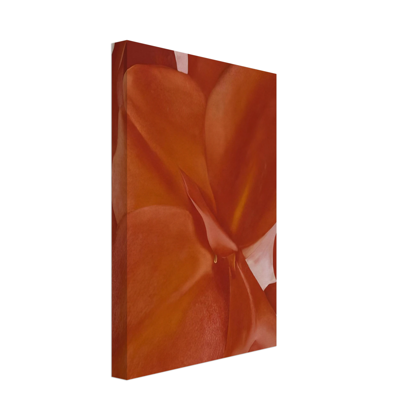 Georgia O'Keeffe - Red Cannas Canvas - 40x60 cm / 16x24 inches-canvas