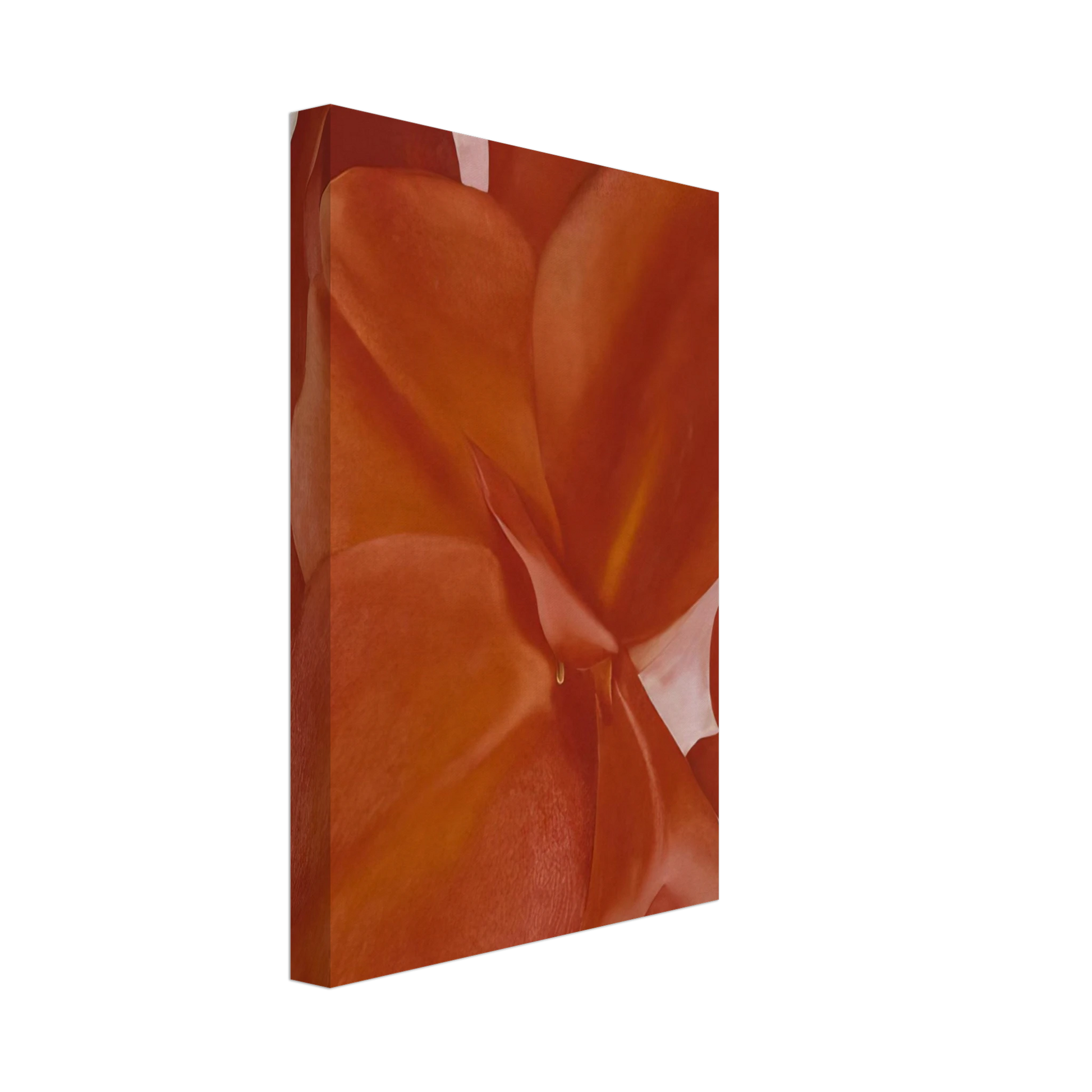 Georgia O'Keeffe - Red Cannas Canvas - 40x60 cm / 16x24 inches-canvas