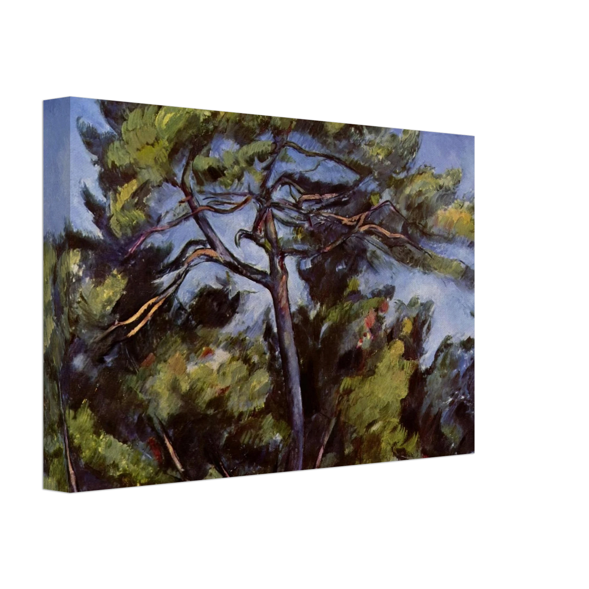 Paul Cezanne - The Great Pine Canvas - 40x60 cm / 16x24 inches-canvas