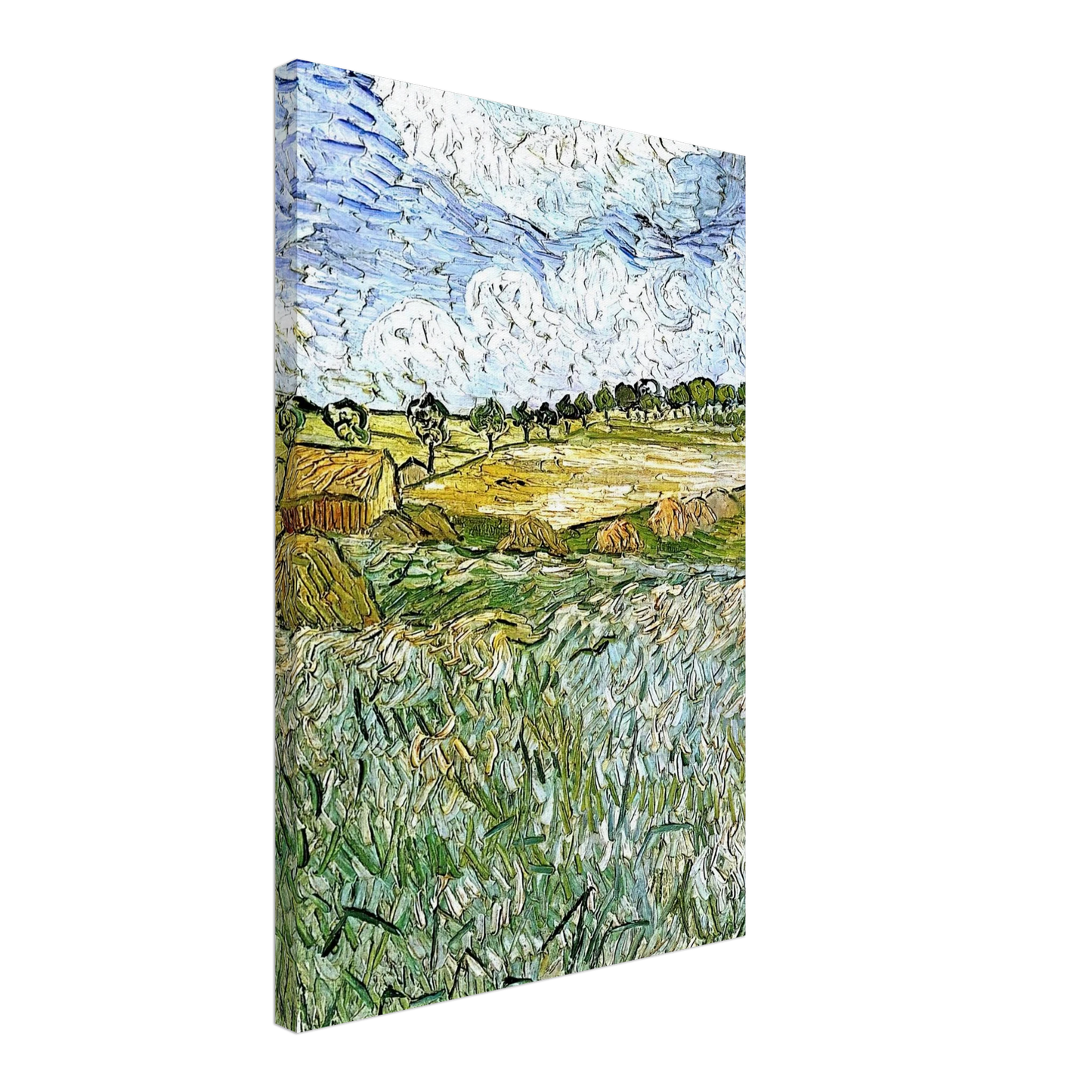 Vincent van Gogh - The Plain at Auvers Canvas - 70x100 cm / 28x40 inches-canvas