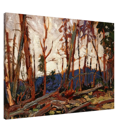 Tom Thomson - BURNT COUNTRY EVENING SKETCH FOR BURNT LAND 1914 Canvas - 20x30 cm / 8x12 inches-canvas