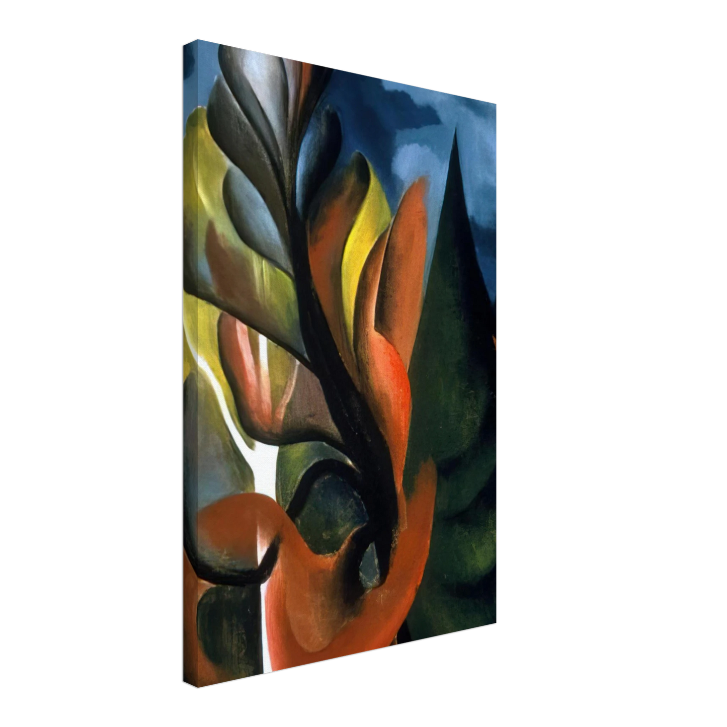 Georgia O'Keeffe - Maple and Cedar, Lake George Canvas - 70x100 cm / 28x40 inches-canvas