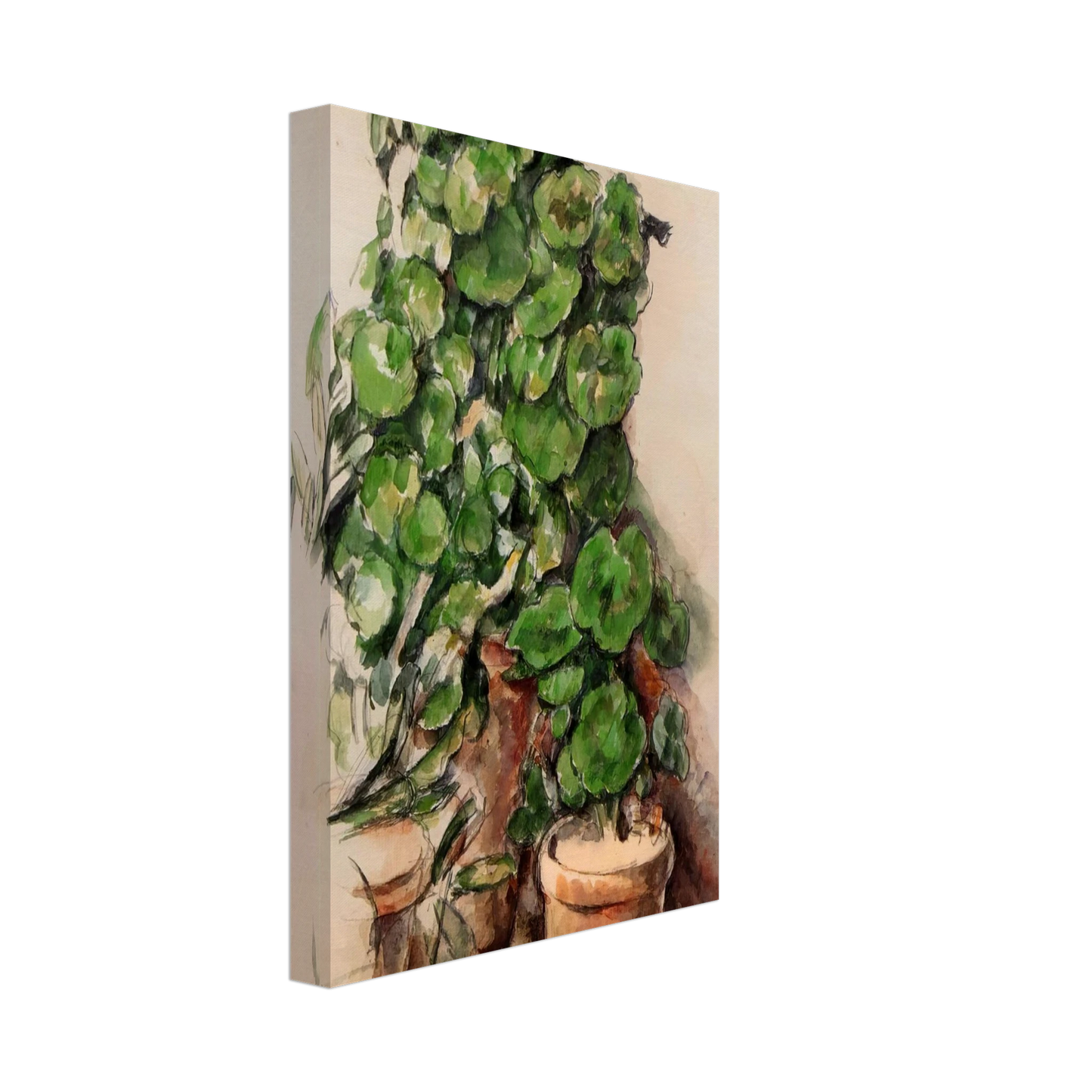 Paul Cezanne - Pots of Geraniums Canvas - 40x60 cm / 16x24 inches-canvas