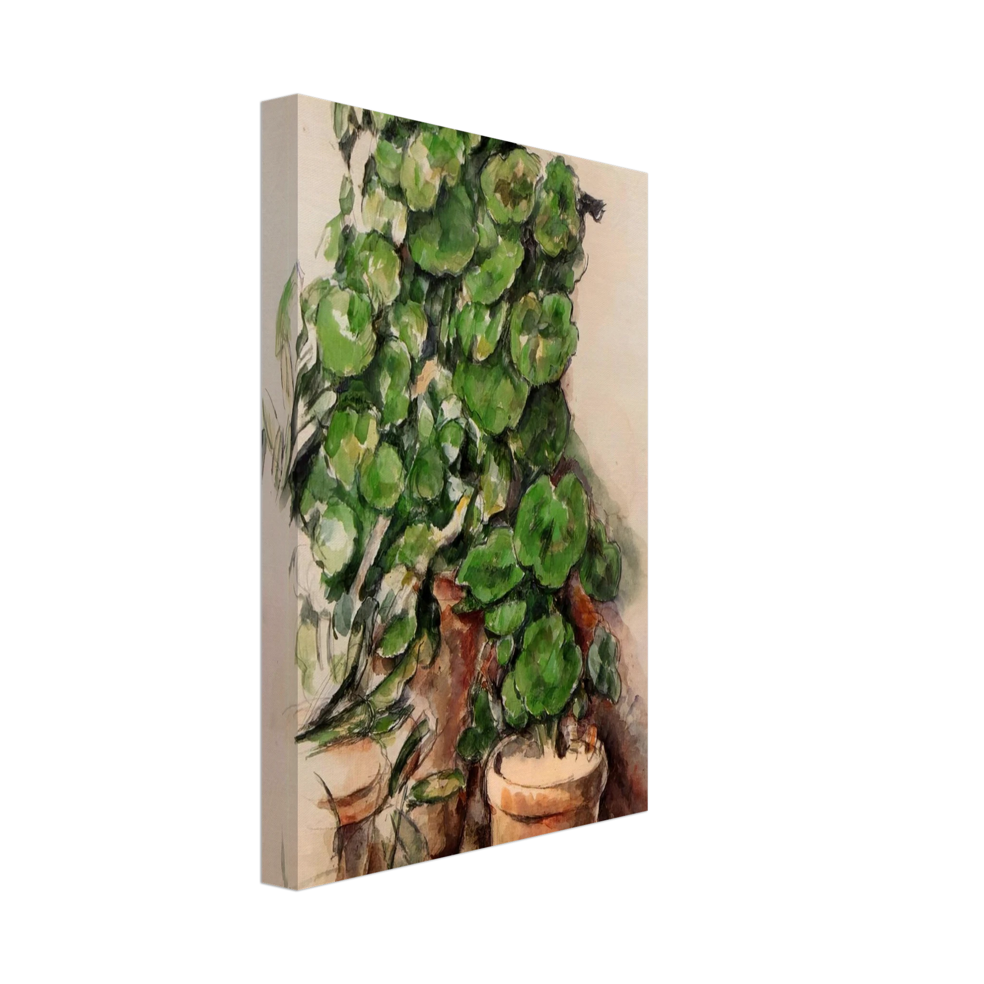 Paul Cezanne - Pots of Geraniums Canvas - 40x60 cm / 16x24 inches-canvas