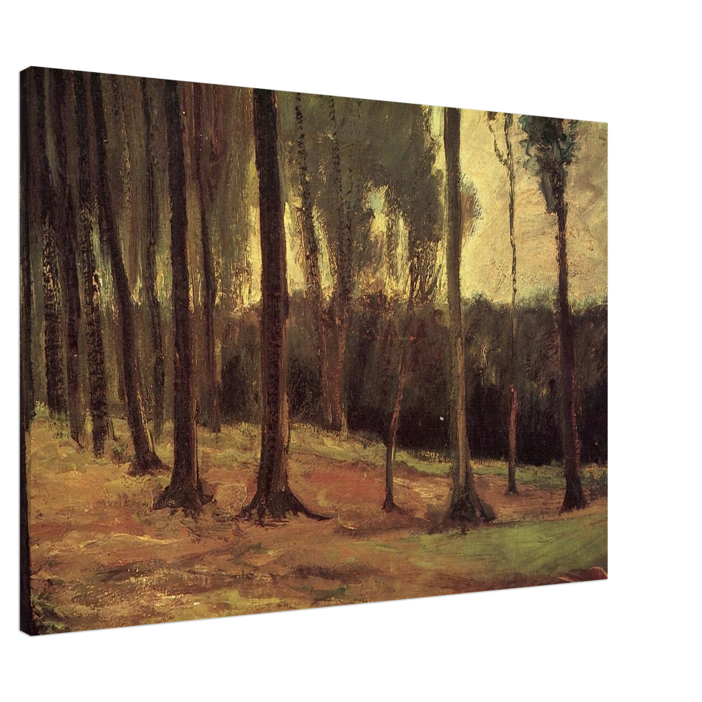 Vincent van Gogh - Edge of a Wood Canvas - 20x30 cm / 8x12 inches-canvas