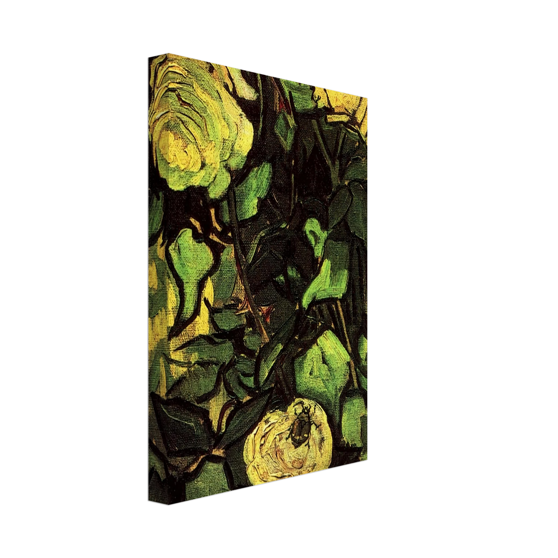 Vincent van Gogh - Roses and Beetle Canvas - 40x60 cm / 16x24 inches-canvas