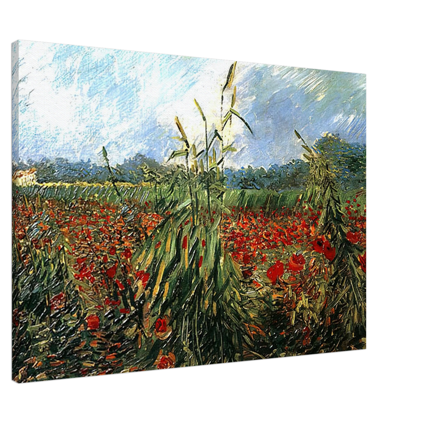 Vincent van Gogh - Green Ears of Wheat Canvas - 20x30 cm / 8x12 inches-canvas