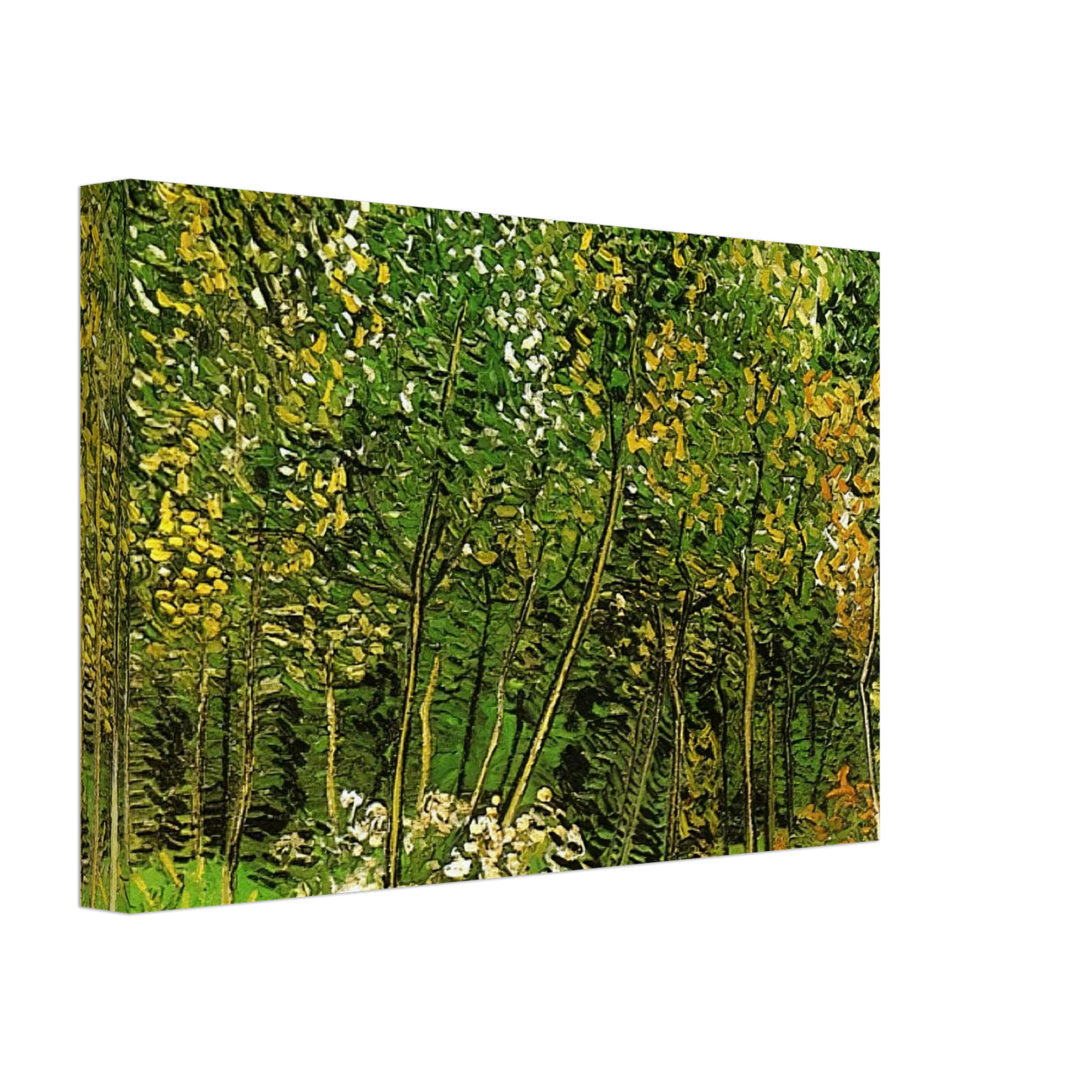 Vincent van Gogh - The Grove Canvas - 40x60 cm / 16x24 inches-canvas