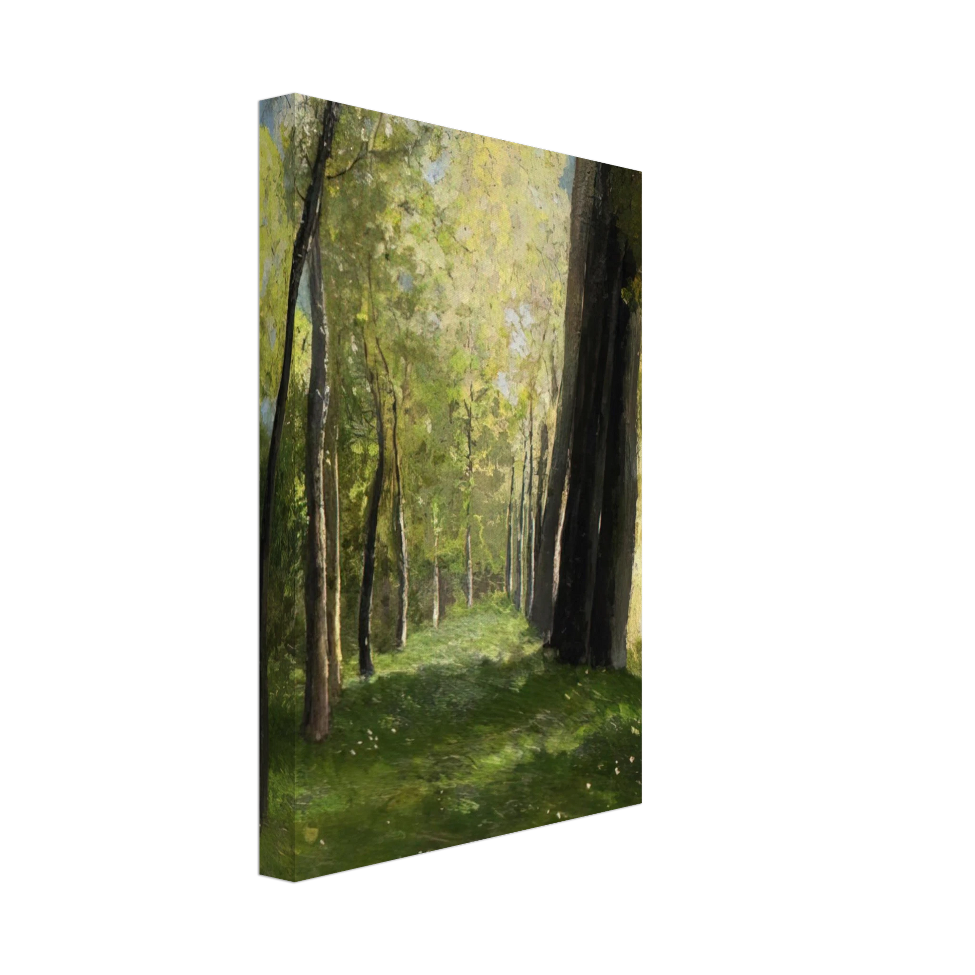 Odilon Redon - LANE OF TREES Canvas - 40x60 cm / 16x24 inches-canvas