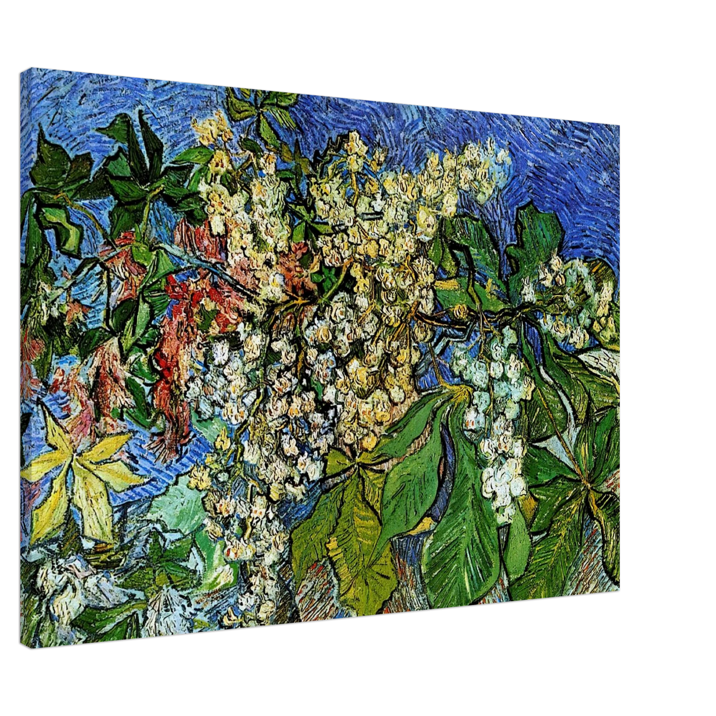 Vincent van Gogh - Blossoming Chestnut Branches Canvas - 20x30 cm / 8x12 inches-canvas