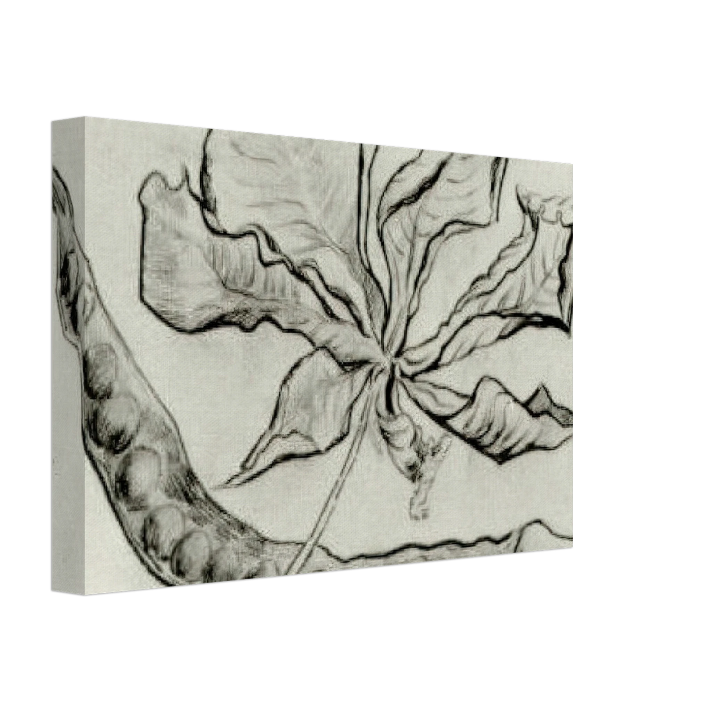 Vincent van Gogh - Dead Leaf and Pod Canvas - 70x100 cm / 28x40 inches-canvas