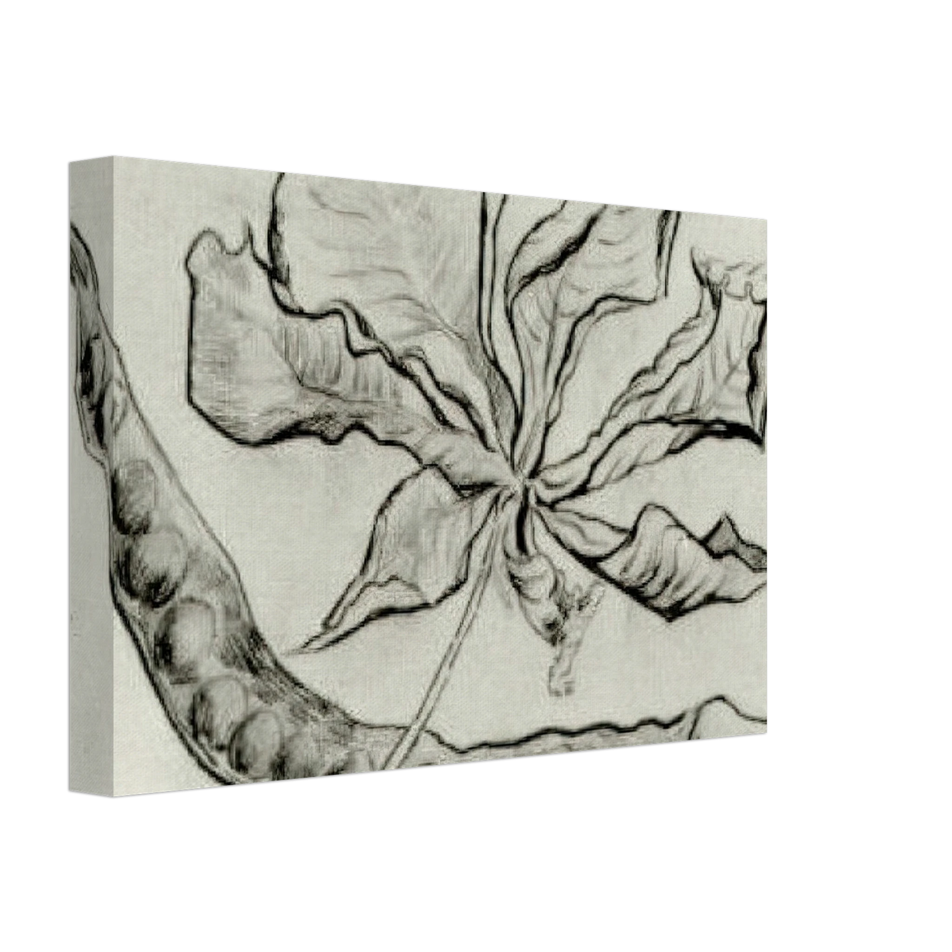 Vincent van Gogh - Dead Leaf and Pod Canvas - 70x100 cm / 28x40 inches-canvas