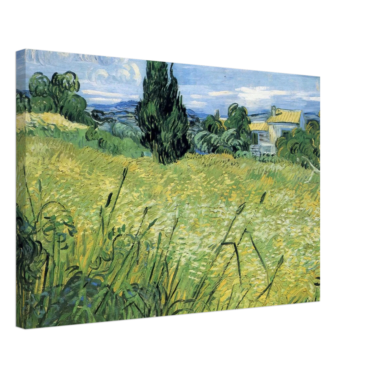 Vincent van Gogh - Green Wheat Field with Cypress Canvas - 70x100 cm / 28x40 inches-canvas