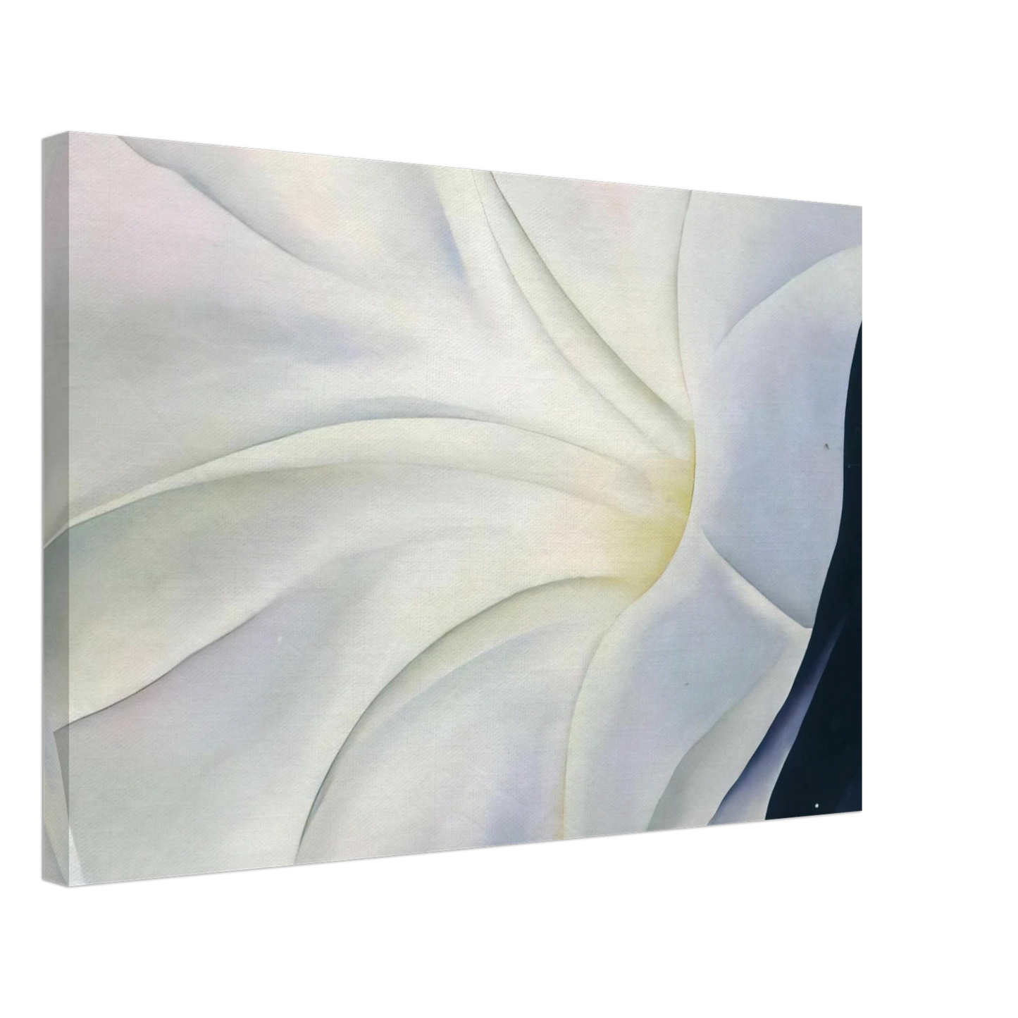 Georgia O'Keeffe - Morning Glory with Black Canvas - 40x60 cm / 16x24 inches-canvas
