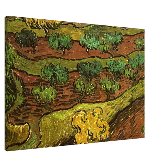 Vincent van Gogh - Olive Trees against a Slope of a Hill Canvas - 20x30 cm / 8x12 inches-canvas