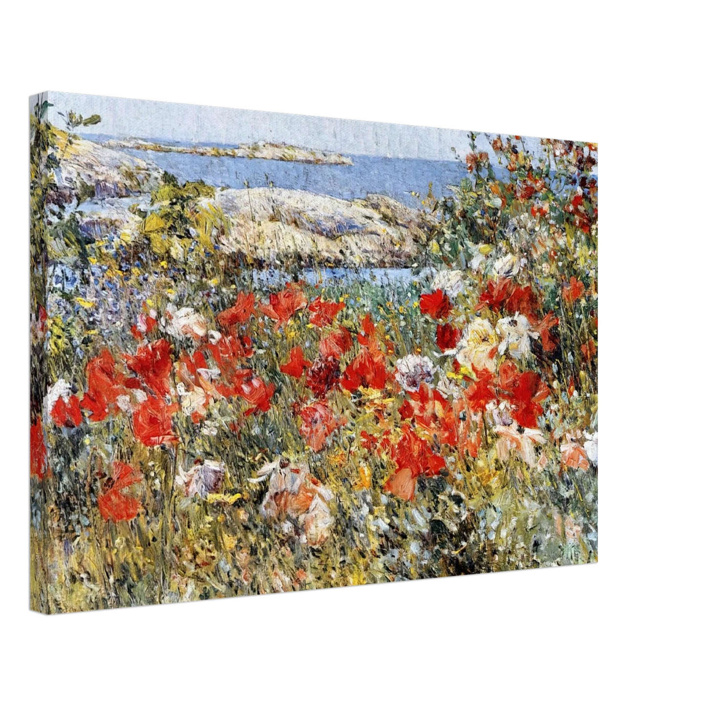 Childe Hassam - Celia Thaxter's Garden, Isles of Shoals, Maine Canvas - 40x60 cm / 16x24 inches-canvas
