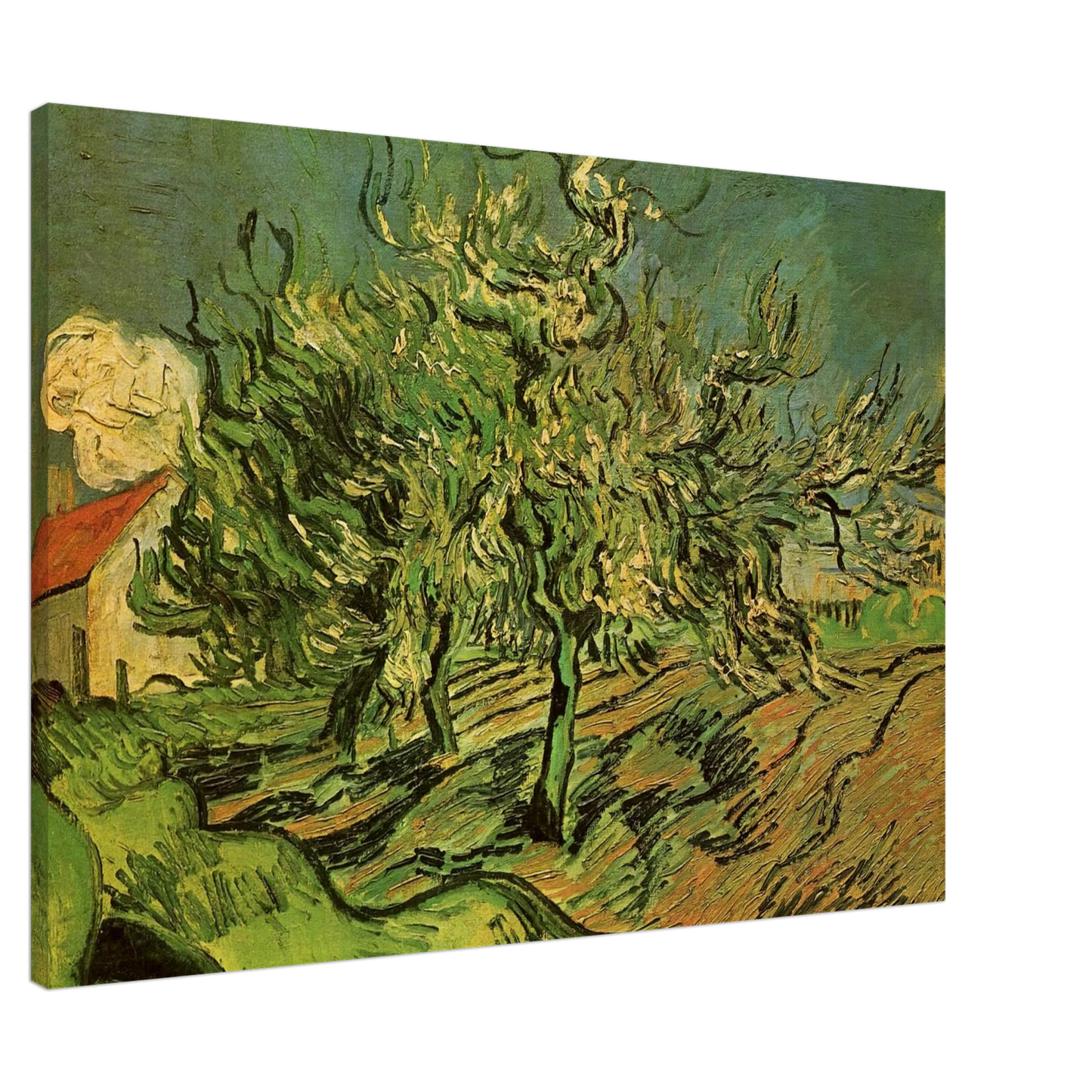 Vincent van Gogh - Landscape with Three Trees and a House Canvas - 20x30 cm / 8x12 inches-canvas