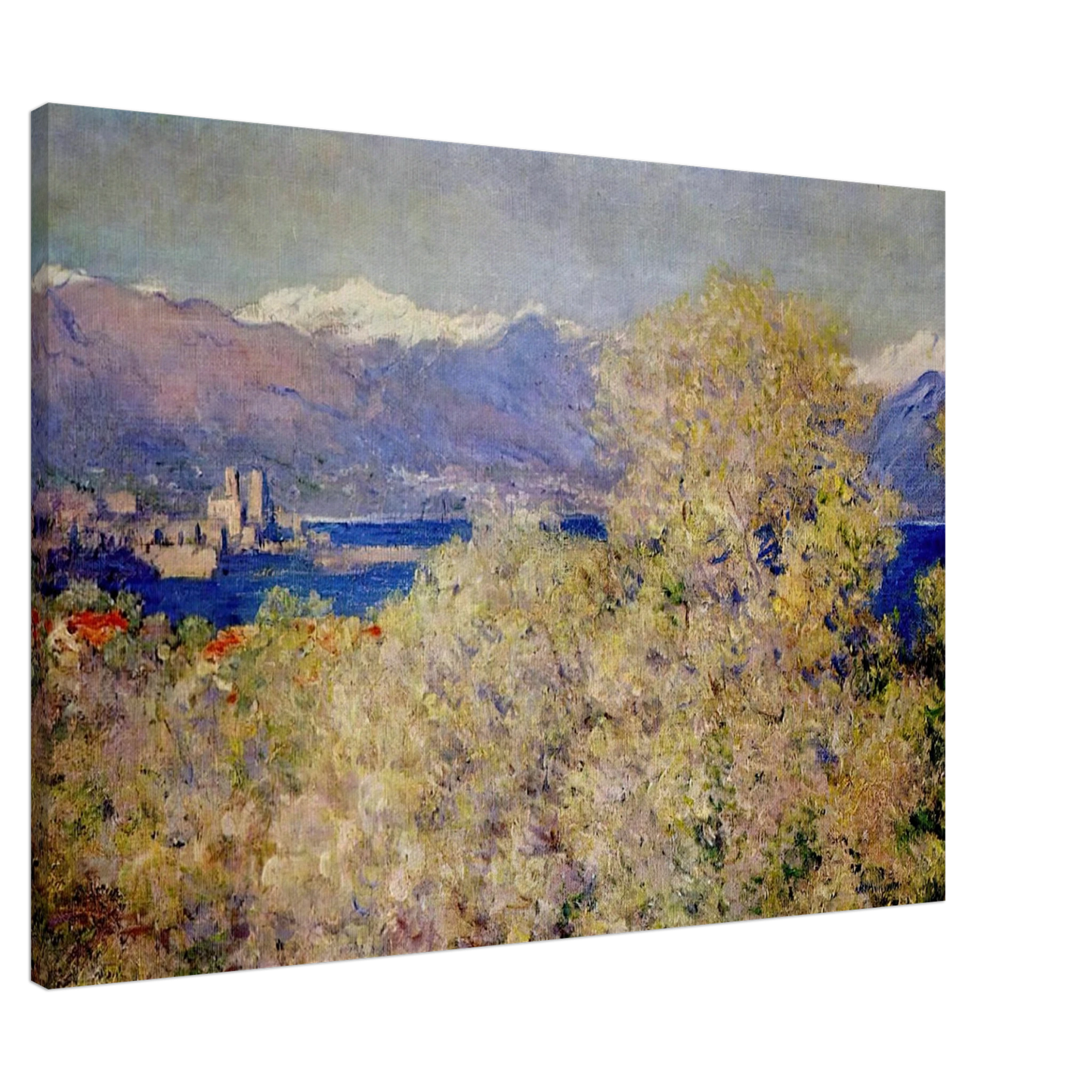 claude monet - Antibes - View of the Salis Gardens Canvas - 20x30 cm / 8x12 inches-canvas