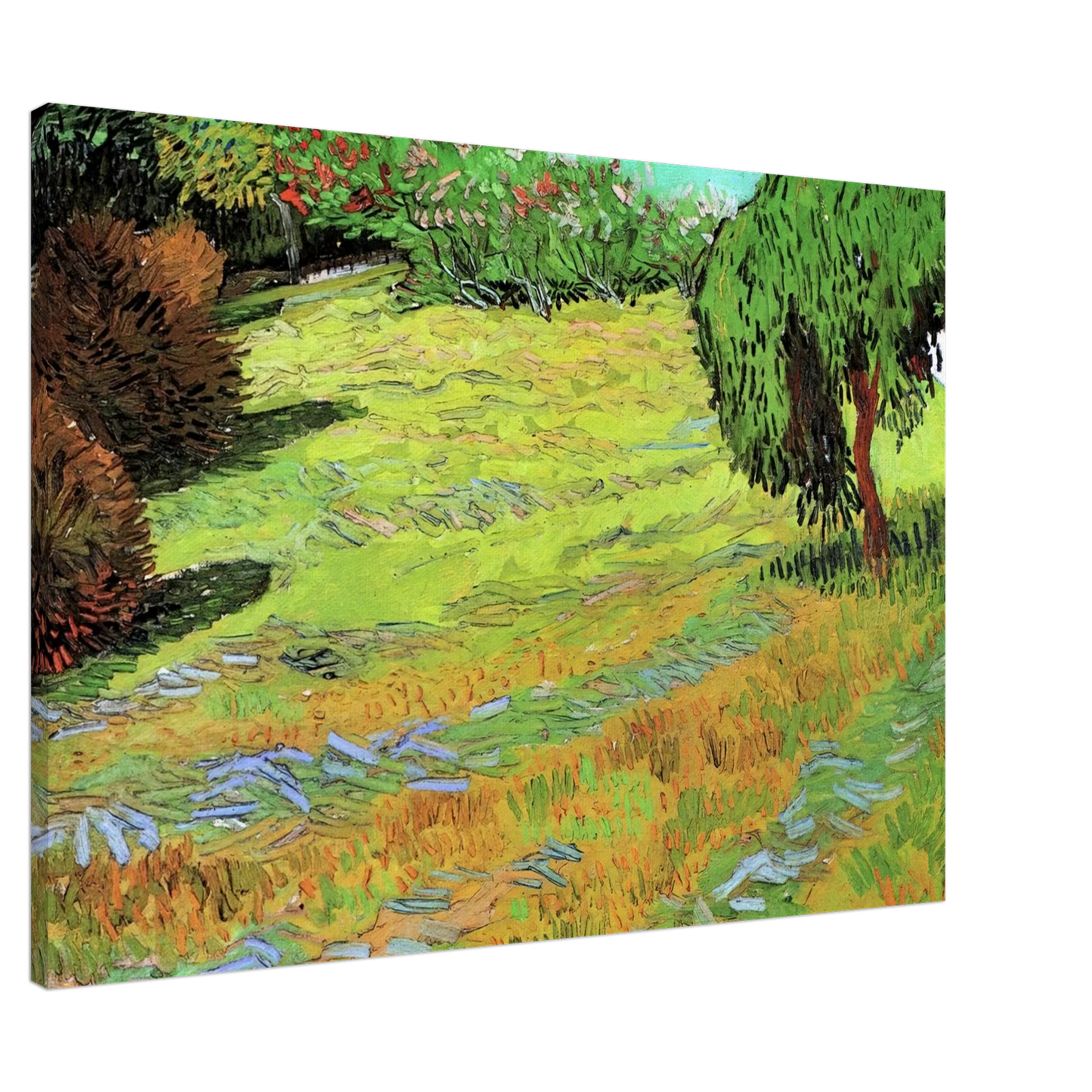 Vincent van Gogh - Sunny Lawn in a Public Park Canvas - 20x30 cm / 8x12 inches-canvas
