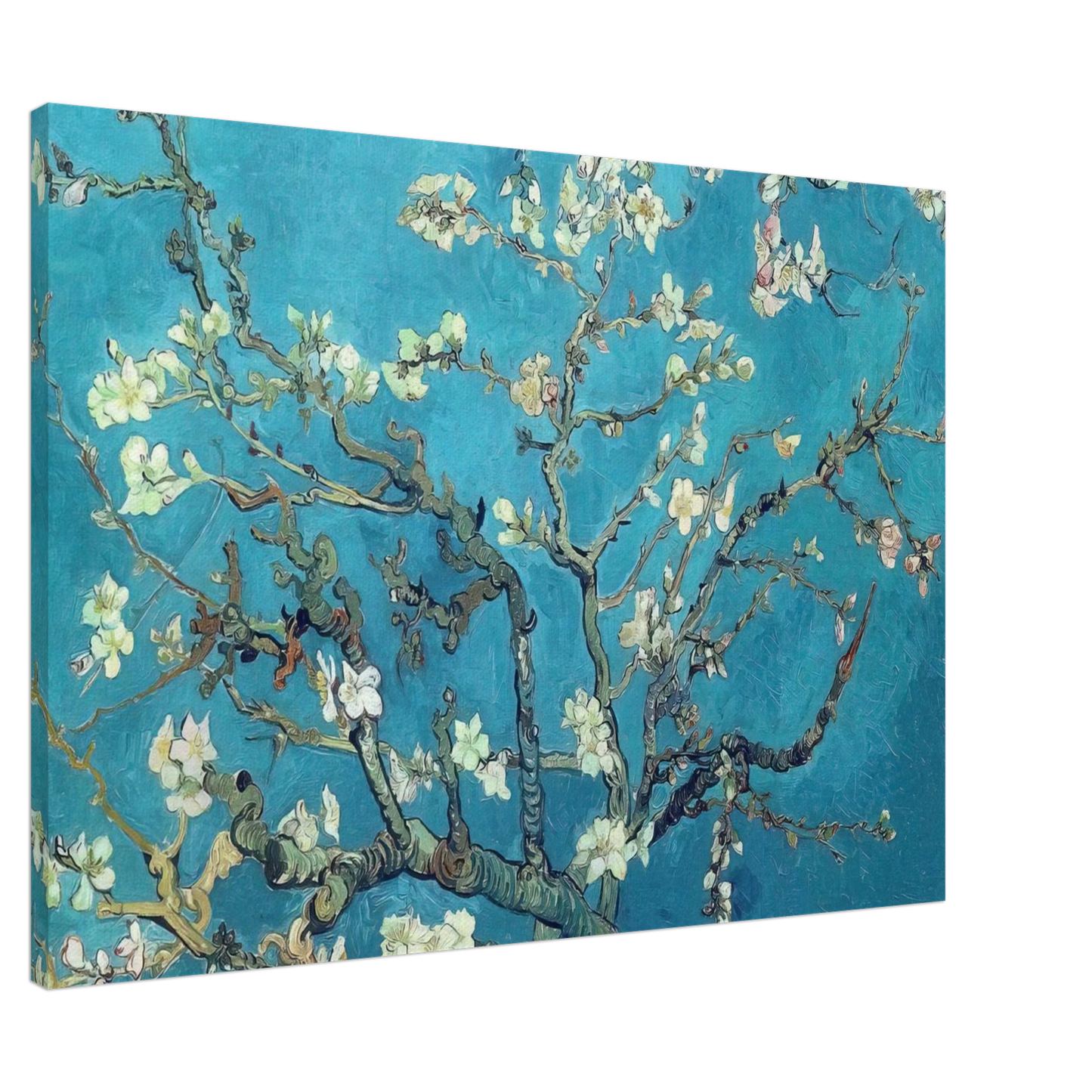 Vincent van Gogh - Branches with Almond Blossom Canvas - 20x30 cm / 8x12 inches-canvas