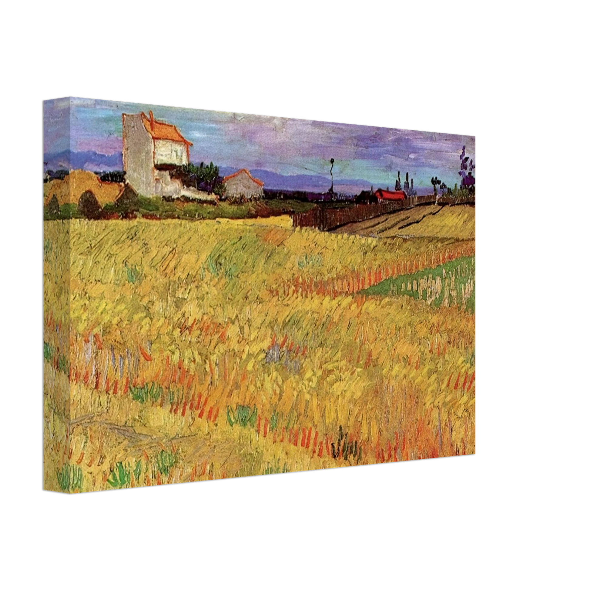 Vincent van Gogh - Wheat Field Canvas - 70x100 cm / 28x40 inches-canvas