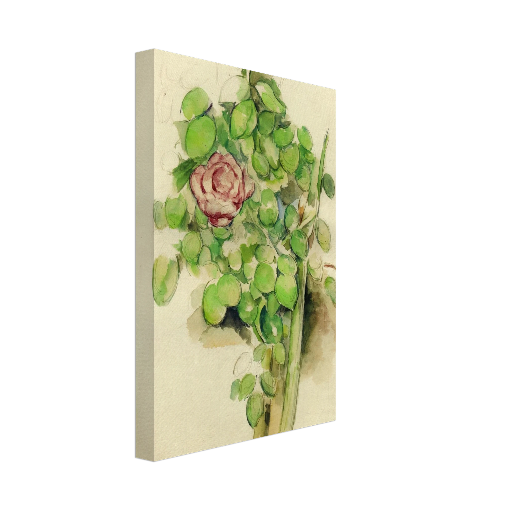 Paul Cezanne - Rose Bush Canvas - 40x60 cm / 16x24 inches-canvas