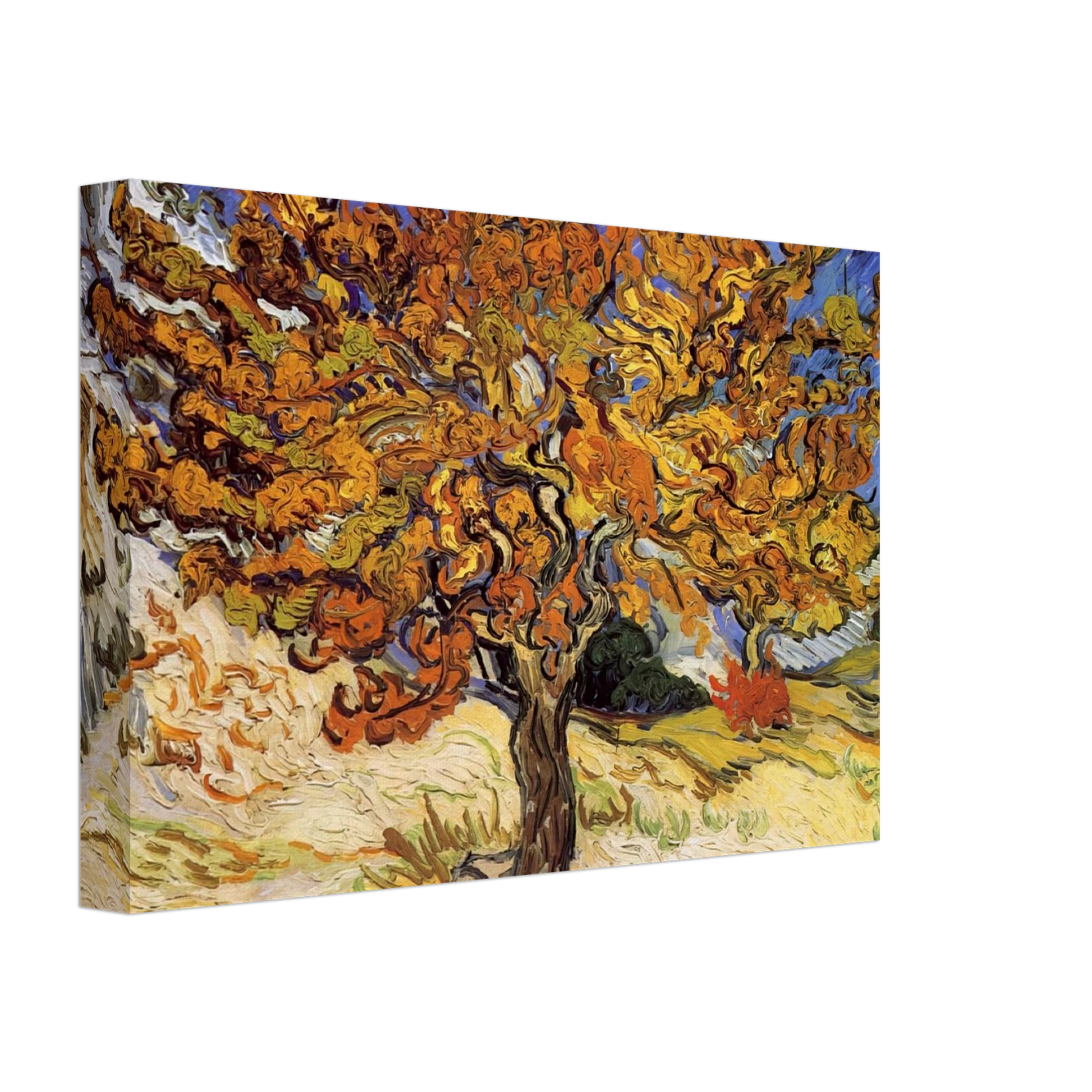 Vincent van Gogh - Mulberry Tree Canvas - 40x60 cm / 16x24 inches-canvas