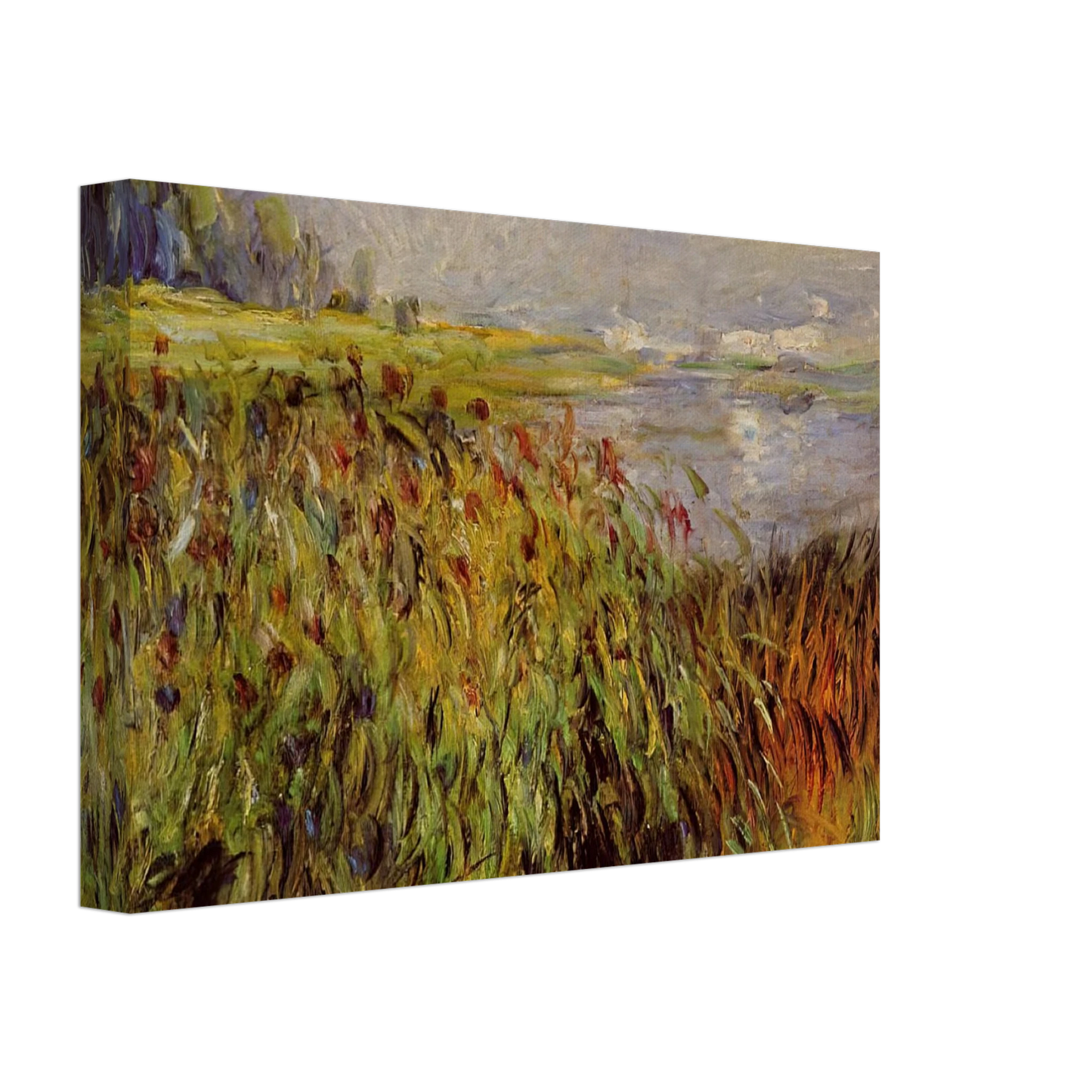 Pierre-Auguste Renoir - Bulrushes on the Banks of the Seine Canvas - 70x100 cm / 28x40 inches-canvas