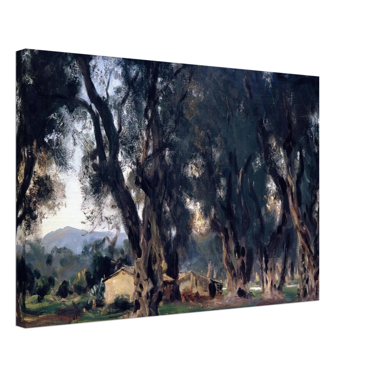 John Singer Sargent - Olive Trees at Corfu Canvas - 70x100 cm / 28x40 inches-canvas