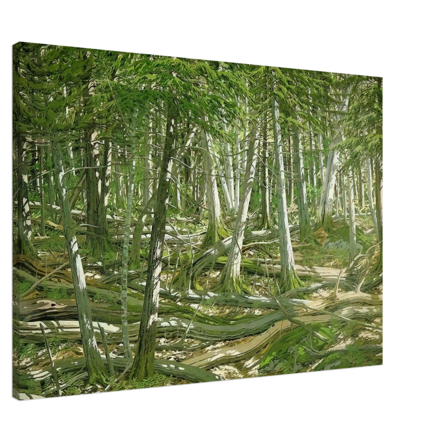 Neil Welliver - Old Windfall - 1982 Canvas - 20x30 cm / 8x12 inches-canvas