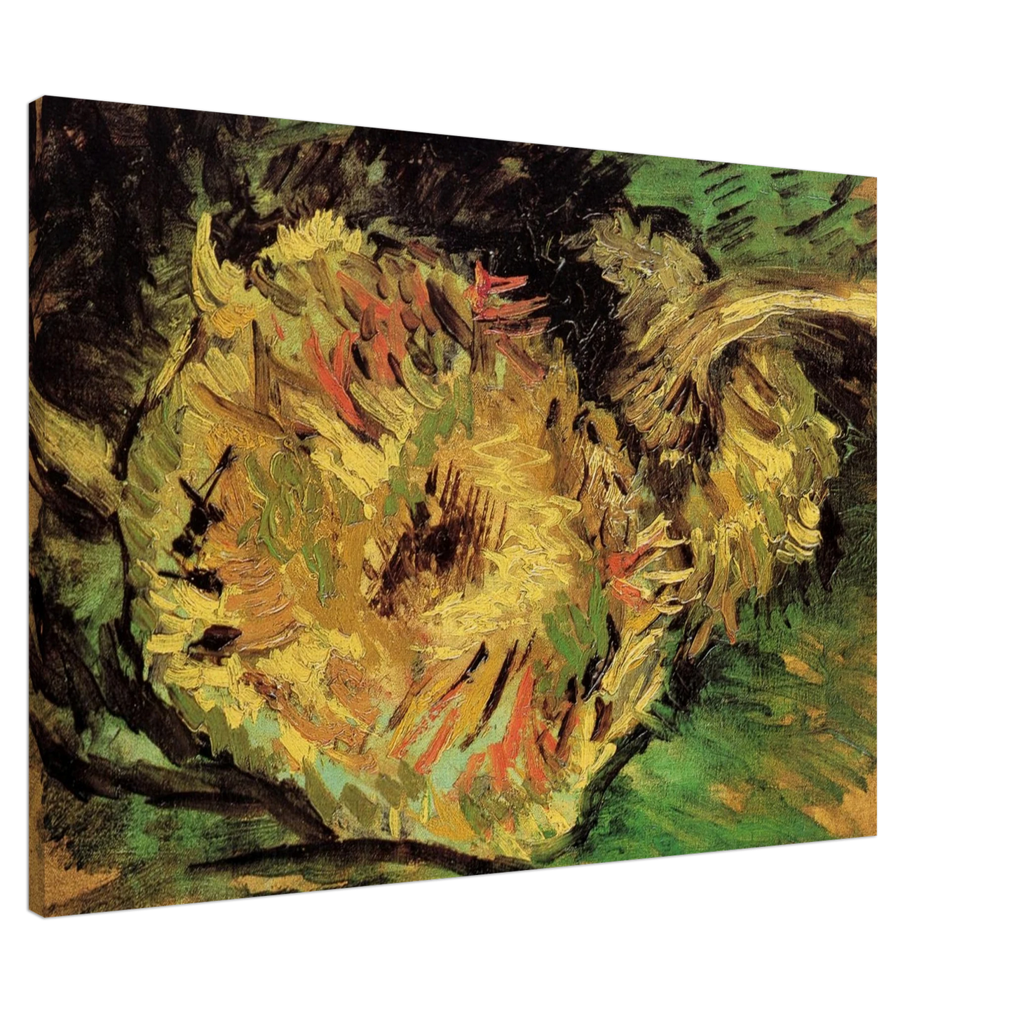 Vincent van Gogh - Two Cut Sunflowers Canvas - 20x30 cm / 8x12 inches-canvas