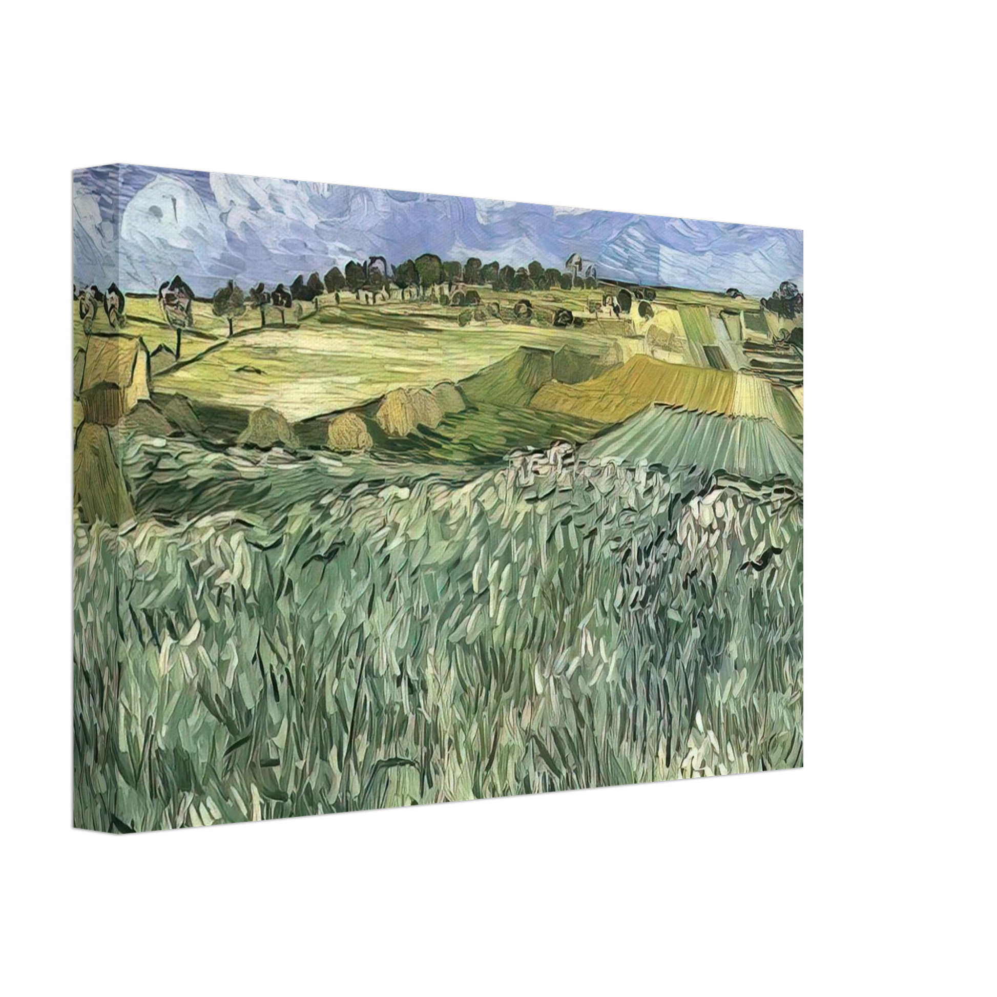 Vincent van Gogh - Plain near Auvers Canvas - 70x100 cm / 28x40 inches-canvas