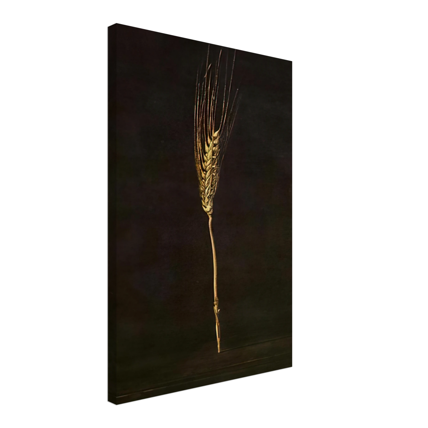 Salvador Dali - WHEAT EAR Canvas - 70x100 cm / 28x40 inches-canvas