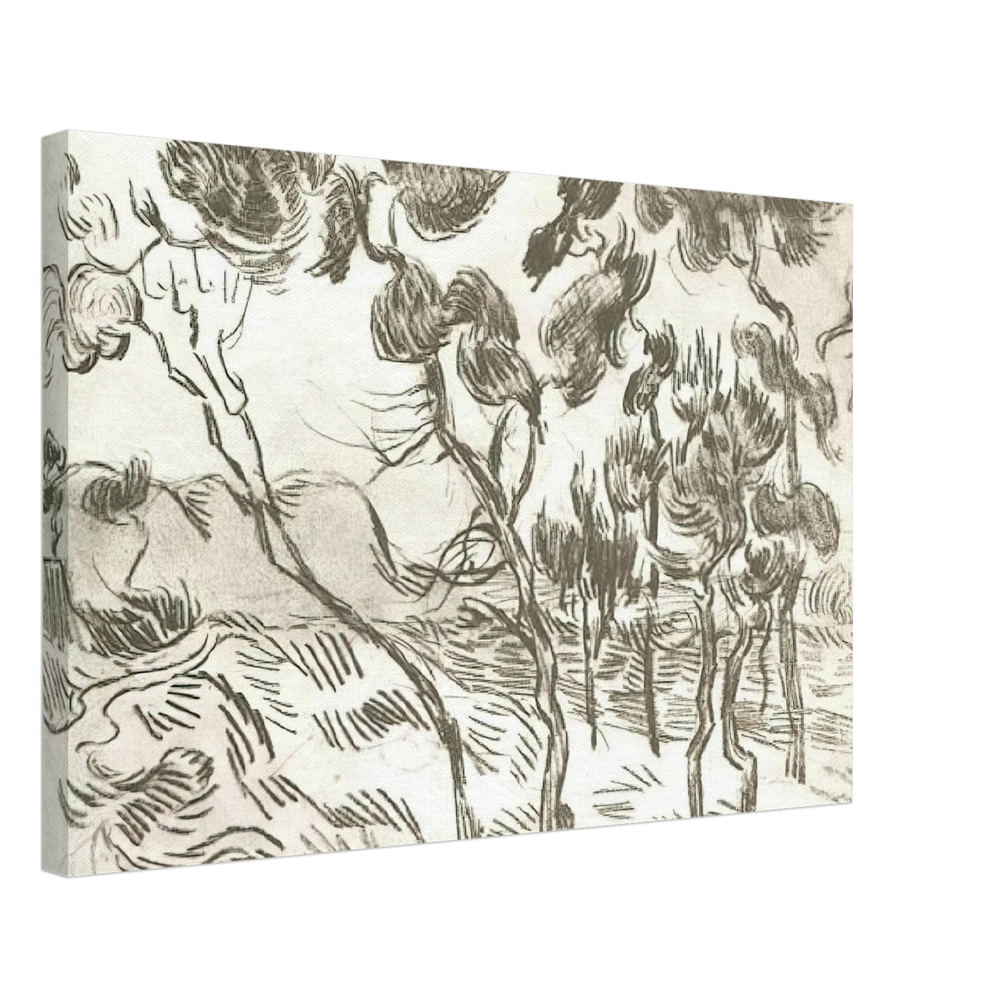 Vincent van Gogh - A Group of Pine Trees near a House Canvas - 70x100 cm / 28x40 inches-canvas