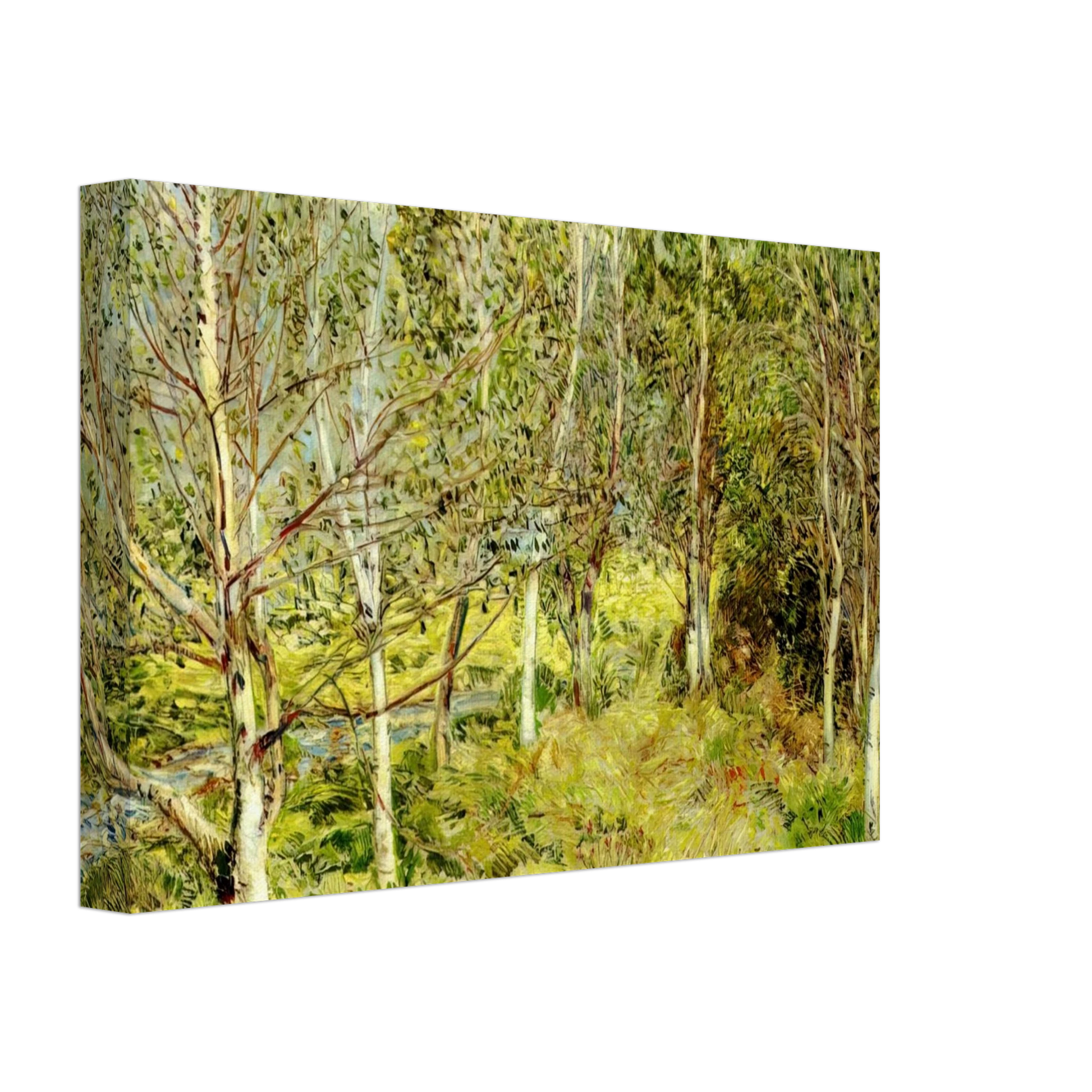 Childe Hassam - Spring Woods Canvas - 70x100 cm / 28x40 inches-canvas