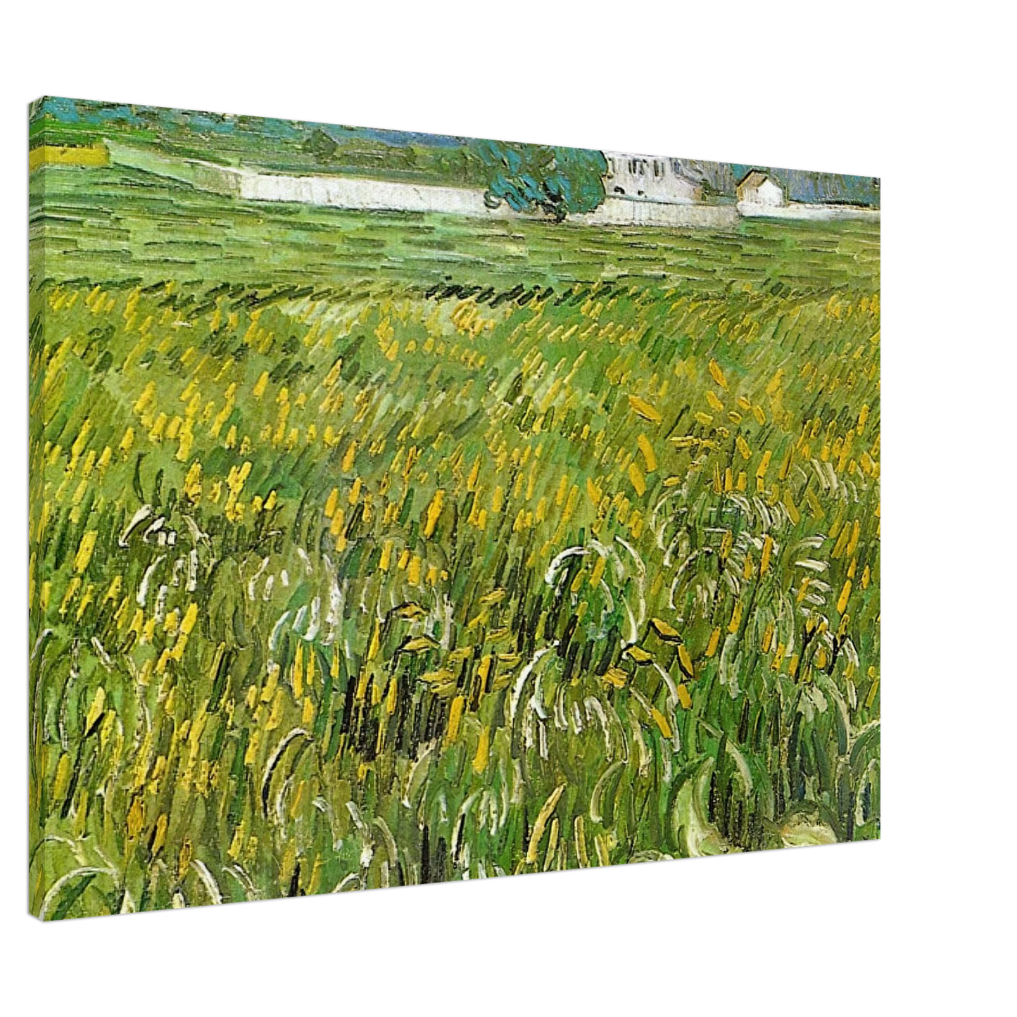 Vincent van Gogh - Wheat Field at Auvers with White House Canvas - 20x30 cm / 8x12 inches-canvas