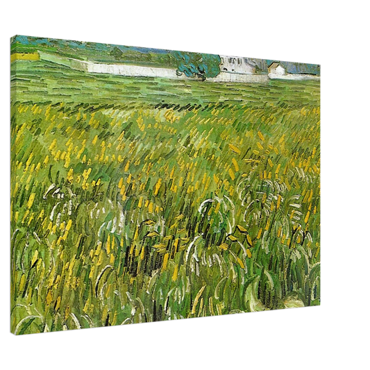 Vincent van Gogh - Wheat Field at Auvers with White House Canvas - 20x30 cm / 8x12 inches-canvas