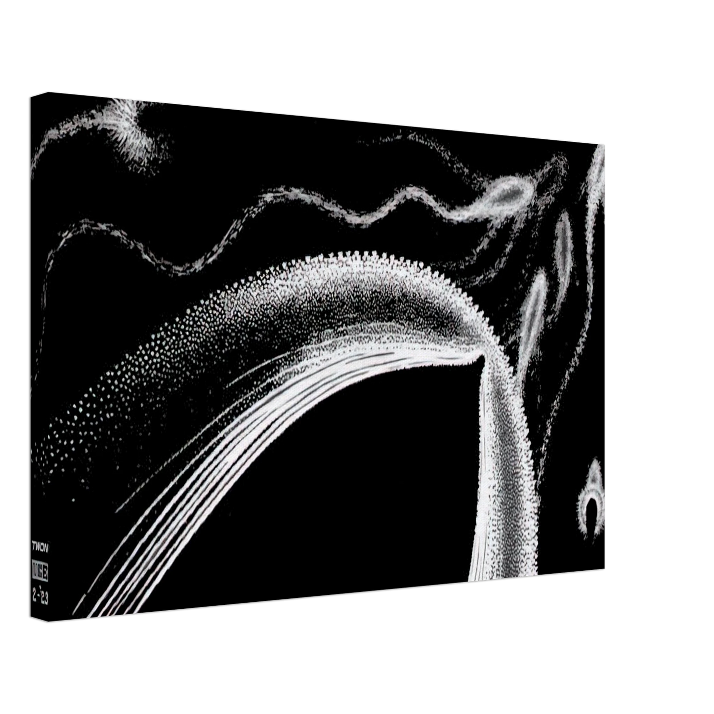 MC Escher - DOLPHINS Canvas - 40x60 cm / 16x24 inches-canvas