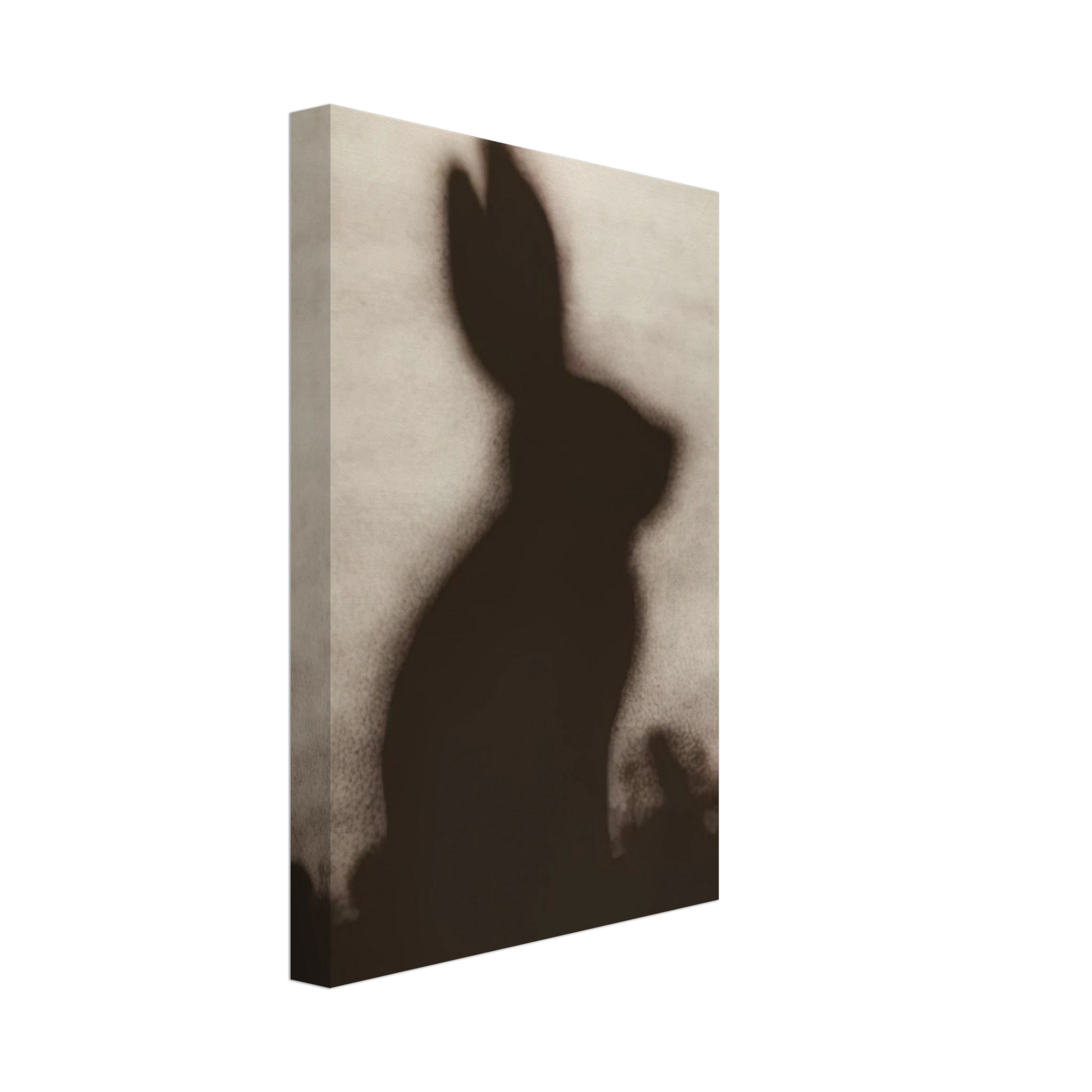 Edward Ruscha - RABBIT 1986 Canvas - 40x60 cm / 16x24 inches-canvas