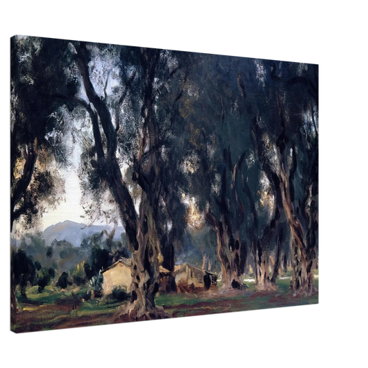 John Singer Sargent - Olive Trees at Corfu Canvas - 20x30 cm / 8x12 inches-canvas