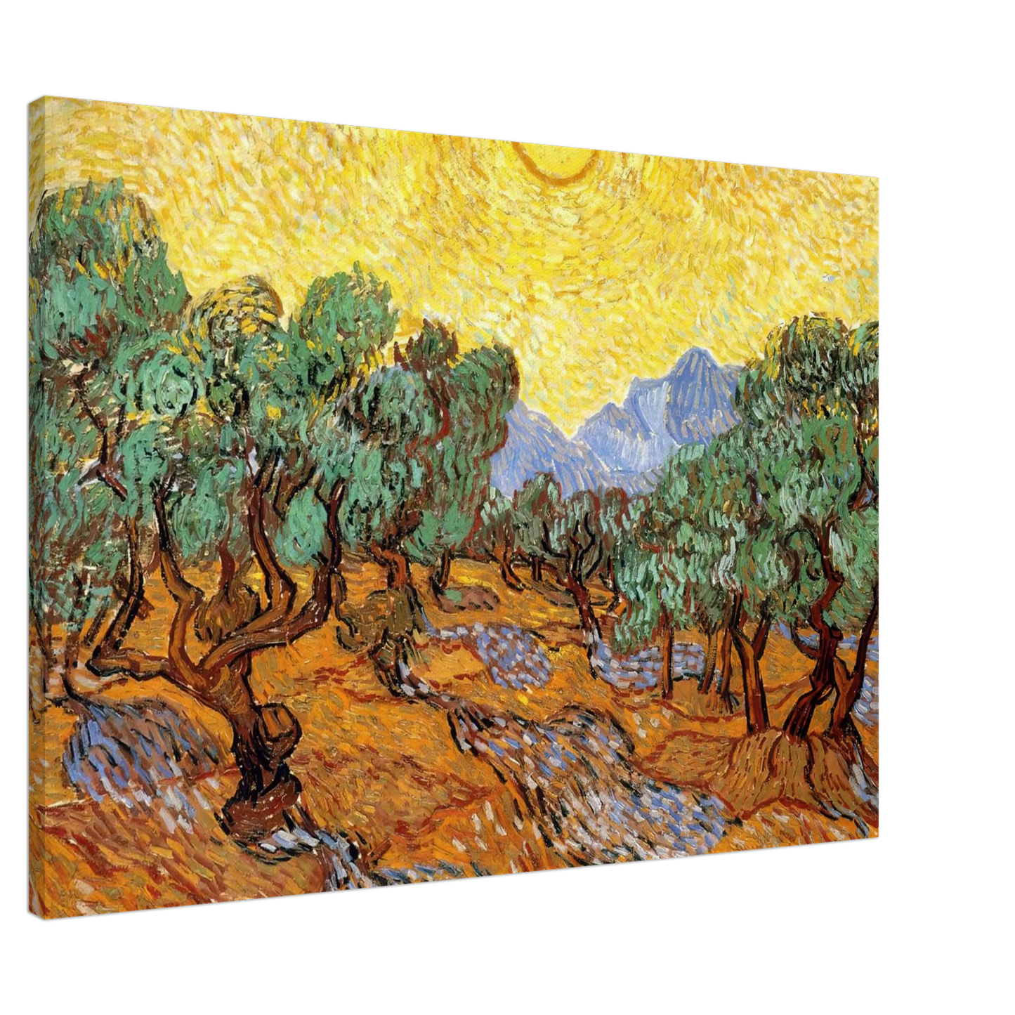 Vincent van Gogh - Olive Trees with Yellow Sky and Sun Canvas - 20x30 cm / 8x12 inches-canvas
