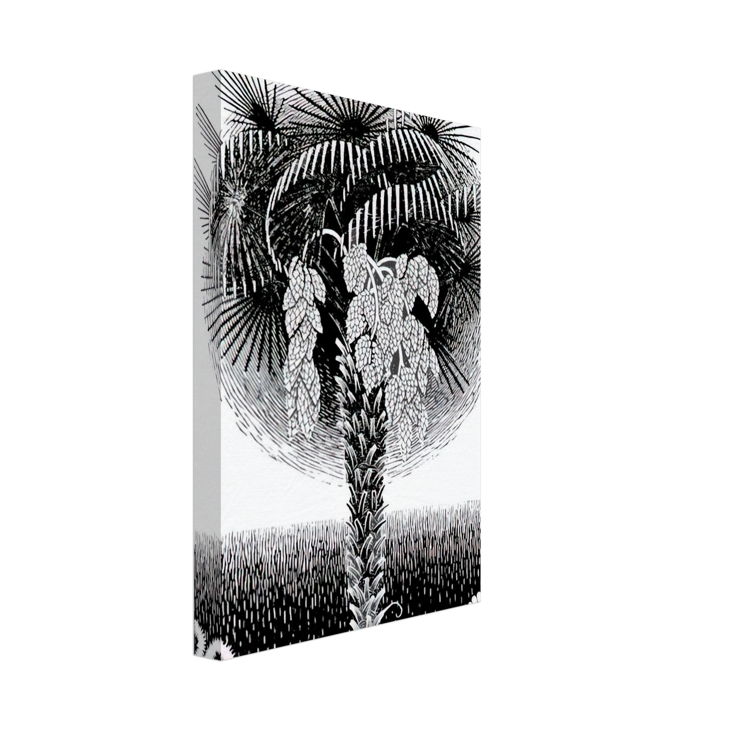 MC Escher - PALM TREE Canvas - 70x100 cm / 28x40 inches-canvas