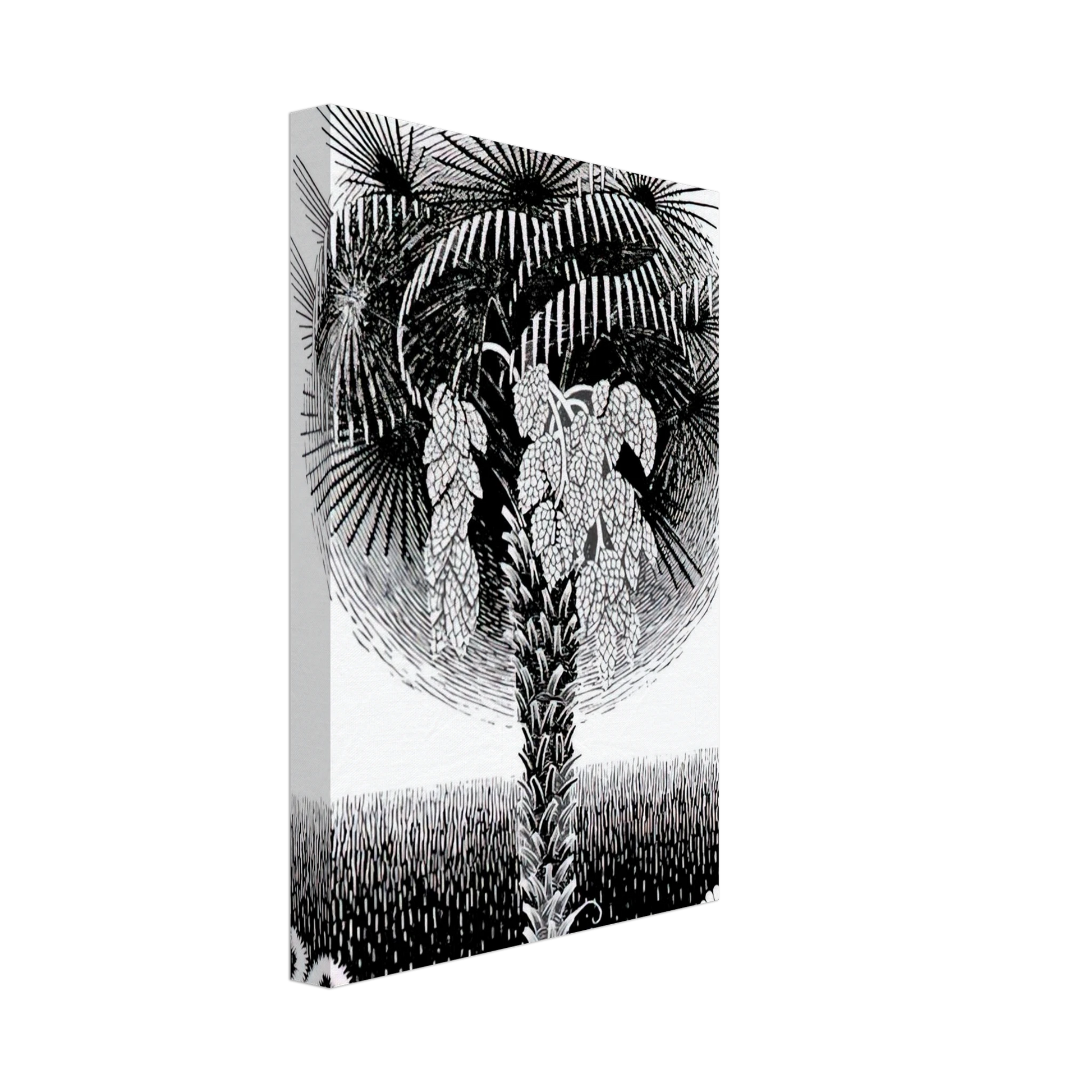 MC Escher - PALM TREE Canvas - 70x100 cm / 28x40 inches-canvas